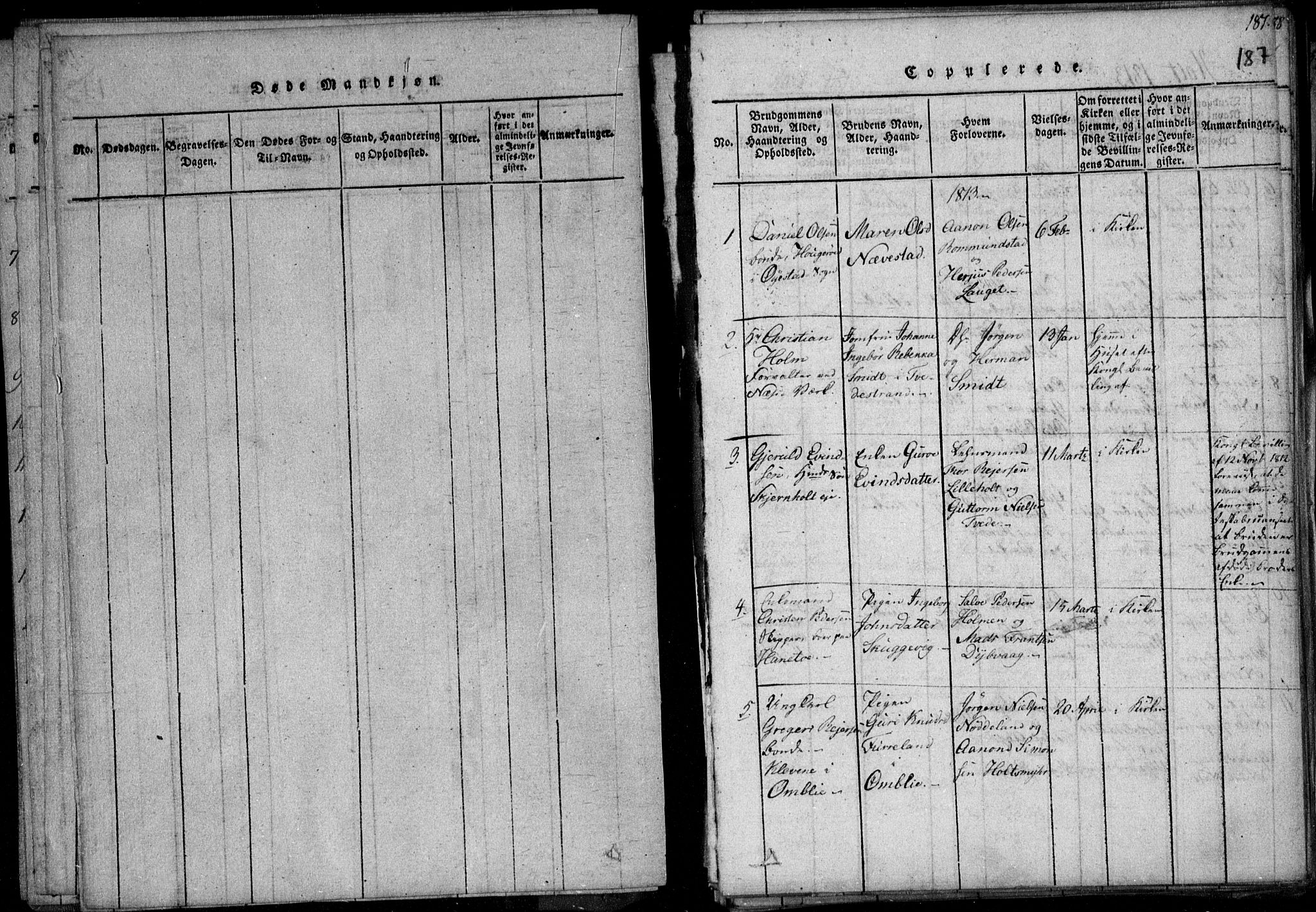 Holt sokneprestkontor, SAK/1111-0021/F/Fa/L0005: Parish register (official) no. A 5, 1813-1821, p. 187