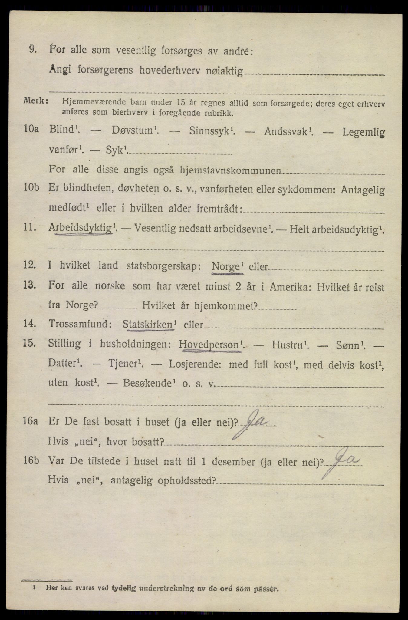 SAKO, 1920 census for Brunlanes, 1920, p. 4518