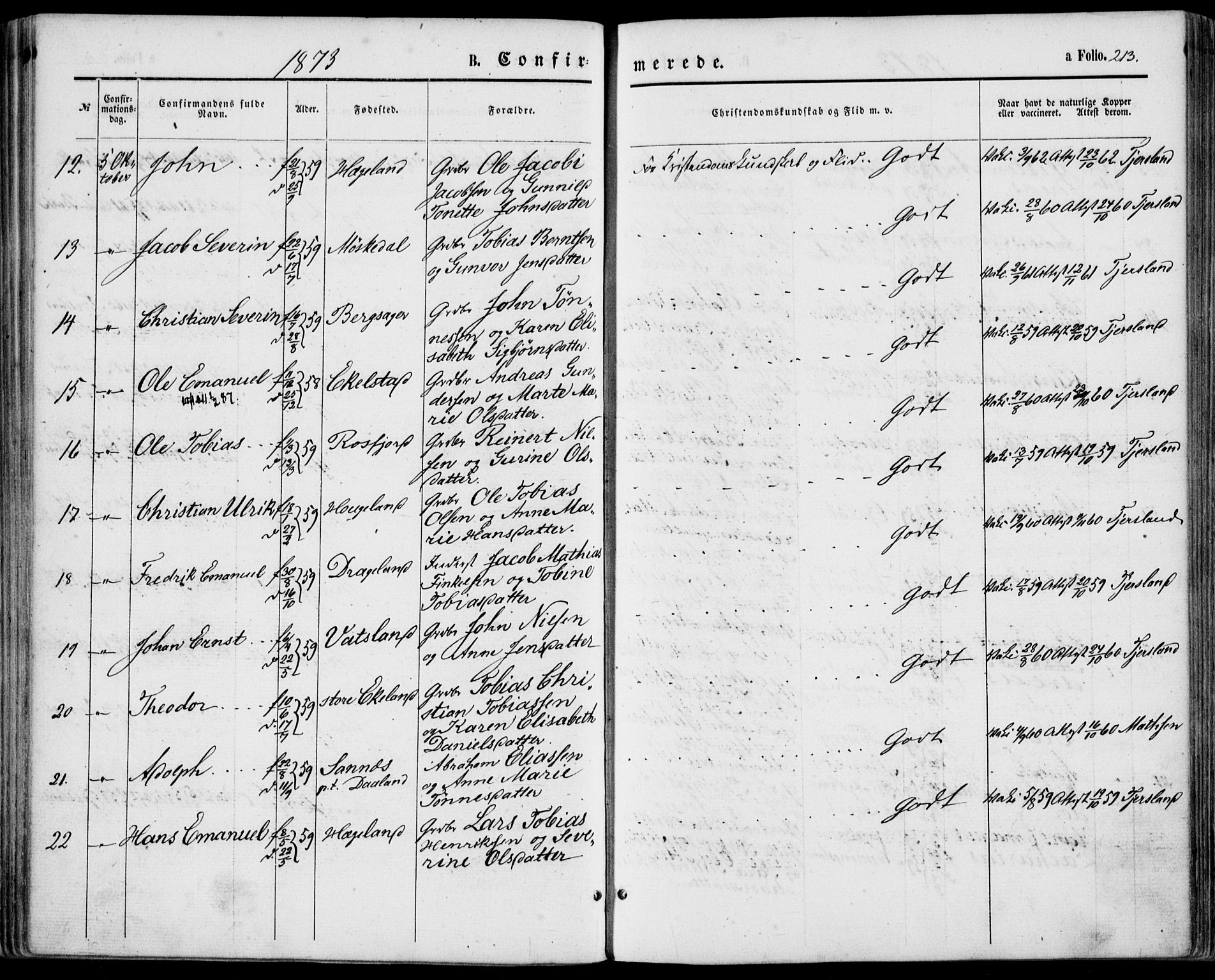 Lyngdal sokneprestkontor, SAK/1111-0029/F/Fa/Fac/L0010: Parish register (official) no. A 10, 1865-1878, p. 213