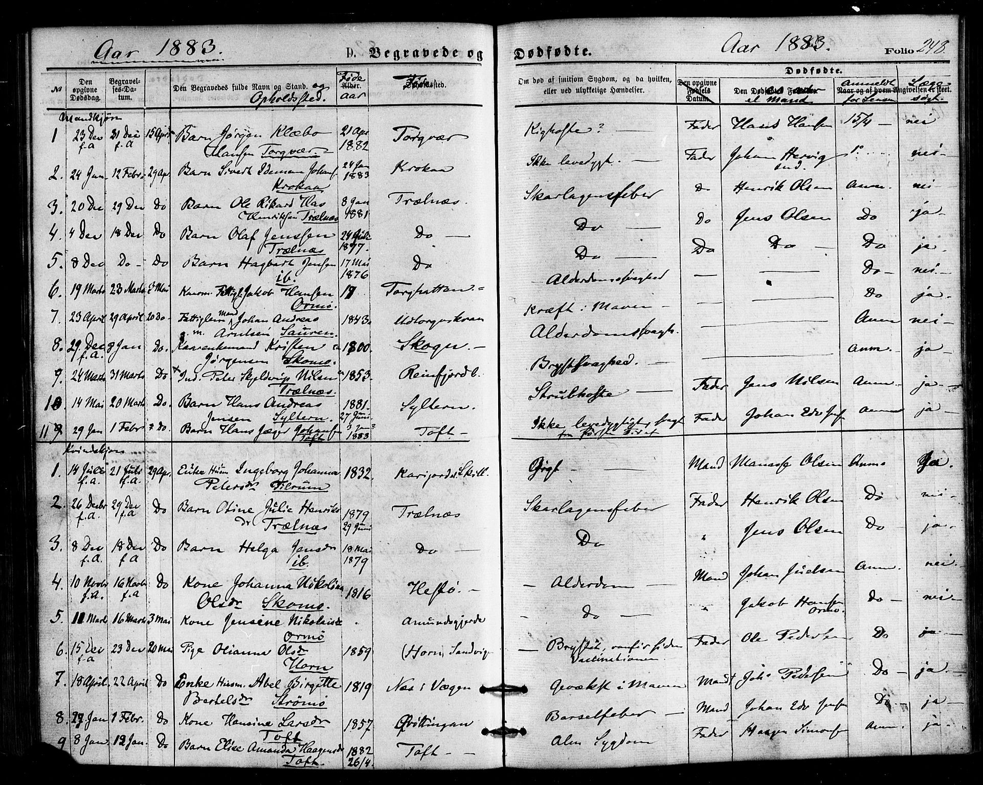 Ministerialprotokoller, klokkerbøker og fødselsregistre - Nordland, SAT/A-1459/813/L0199: Parish register (official) no. 813A09, 1875-1885, p. 248