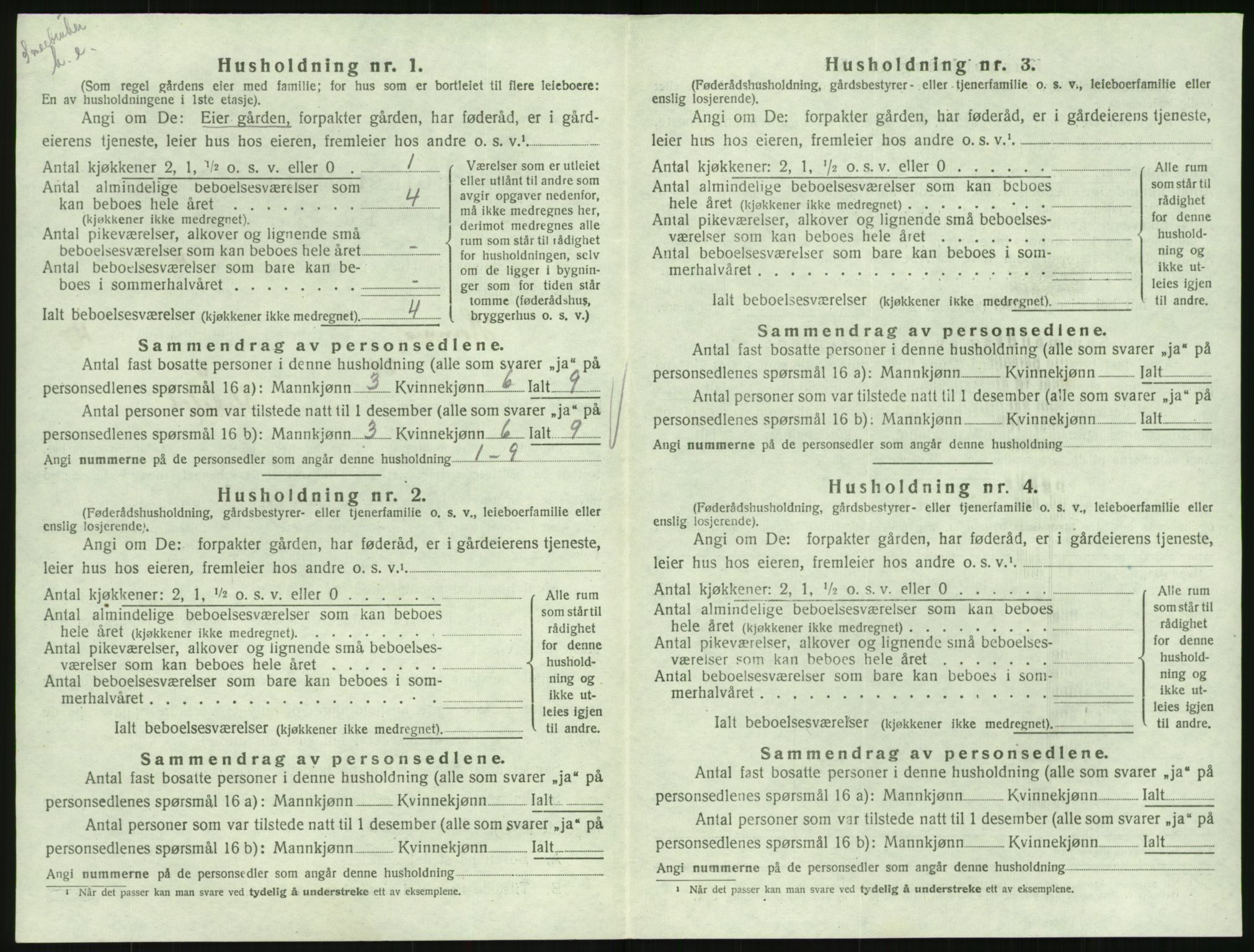 SAK, 1920 census for Hornnes, 1920, p. 438