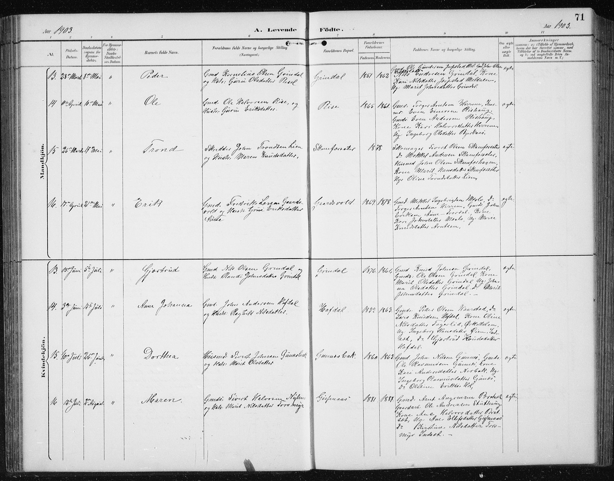 Ministerialprotokoller, klokkerbøker og fødselsregistre - Sør-Trøndelag, AV/SAT-A-1456/674/L0876: Parish register (copy) no. 674C03, 1892-1912, p. 71