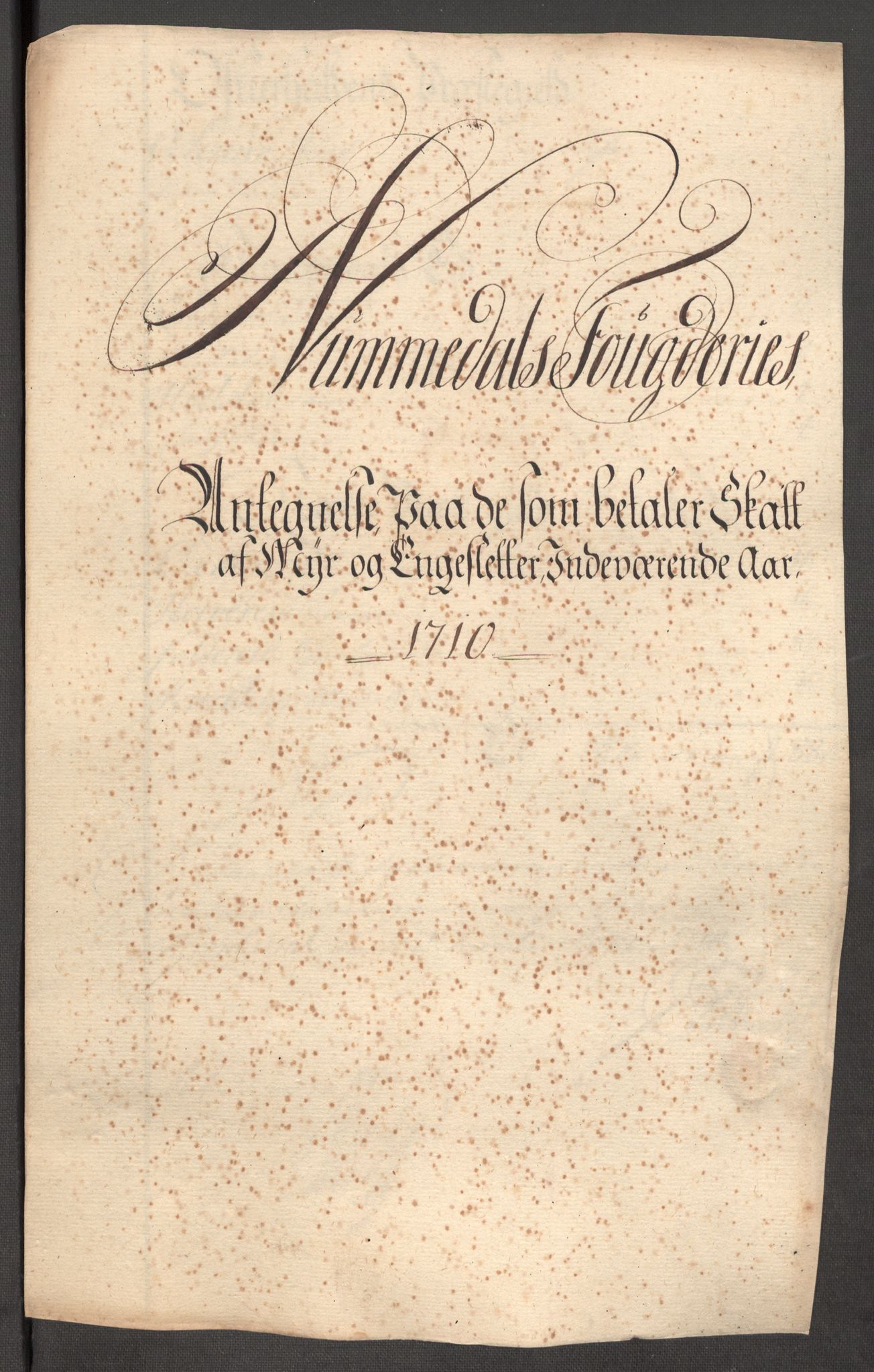 Rentekammeret inntil 1814, Reviderte regnskaper, Fogderegnskap, RA/EA-4092/R64/L4431: Fogderegnskap Namdal, 1709-1710, p. 385