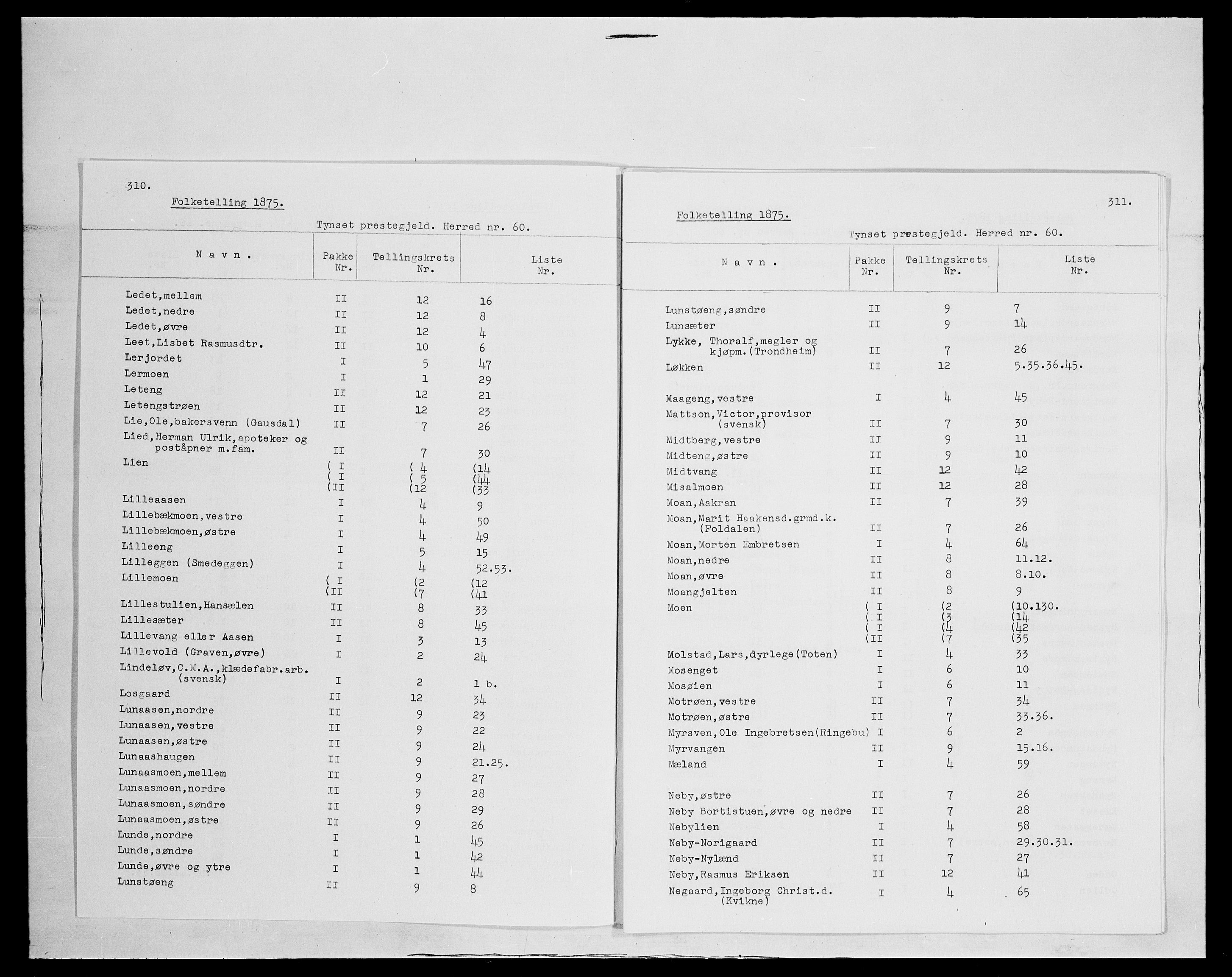 SAH, 1875 census for 0437P Tynset, 1875, p. 4