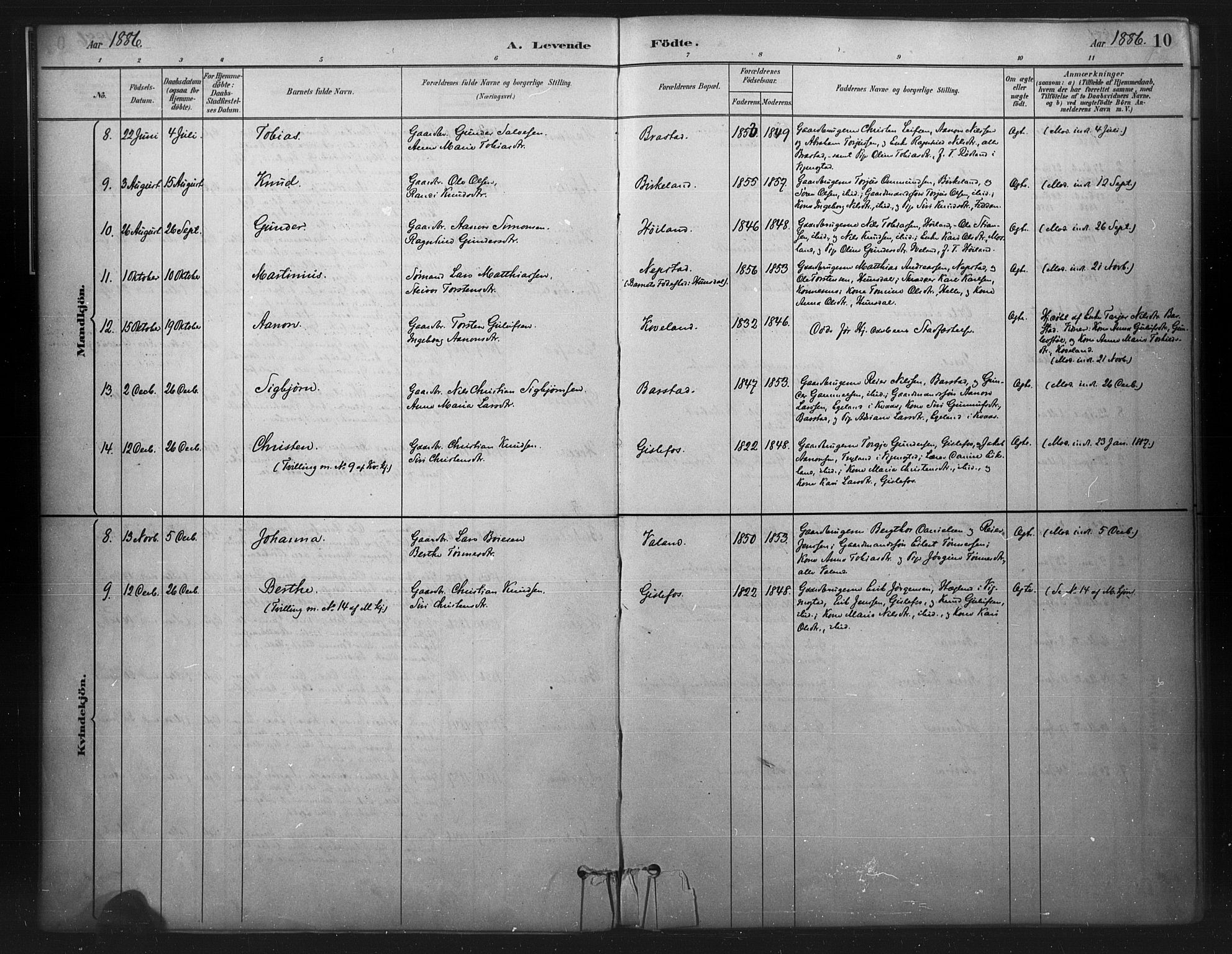 Nord-Audnedal sokneprestkontor, SAK/1111-0032/F/Fa/Faa/L0003: Parish register (official) no. A 3, 1882-1900, p. 10