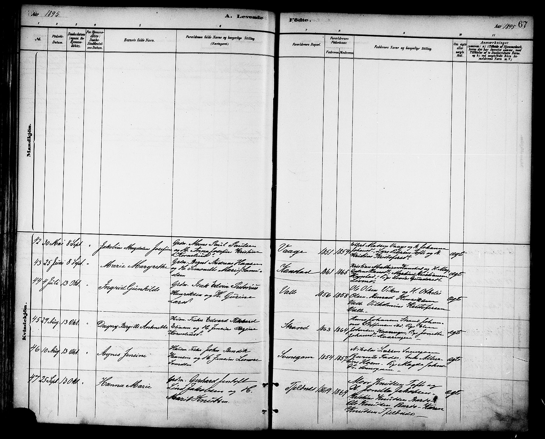 Ministerialprotokoller, klokkerbøker og fødselsregistre - Nordland, AV/SAT-A-1459/872/L1035: Parish register (official) no. 872A10, 1884-1896, p. 67