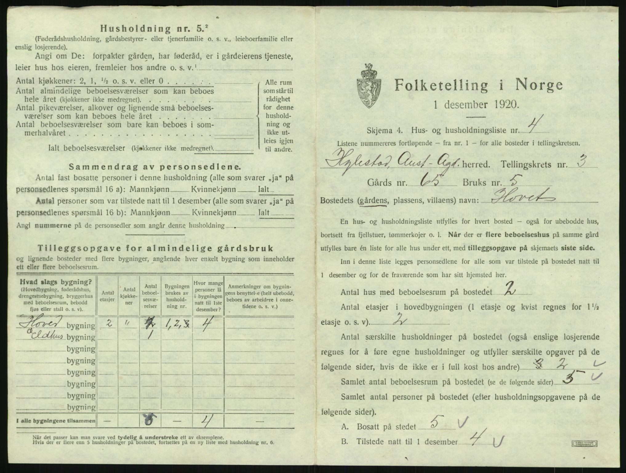 SAK, 1920 census for Hylestad, 1920, p. 132