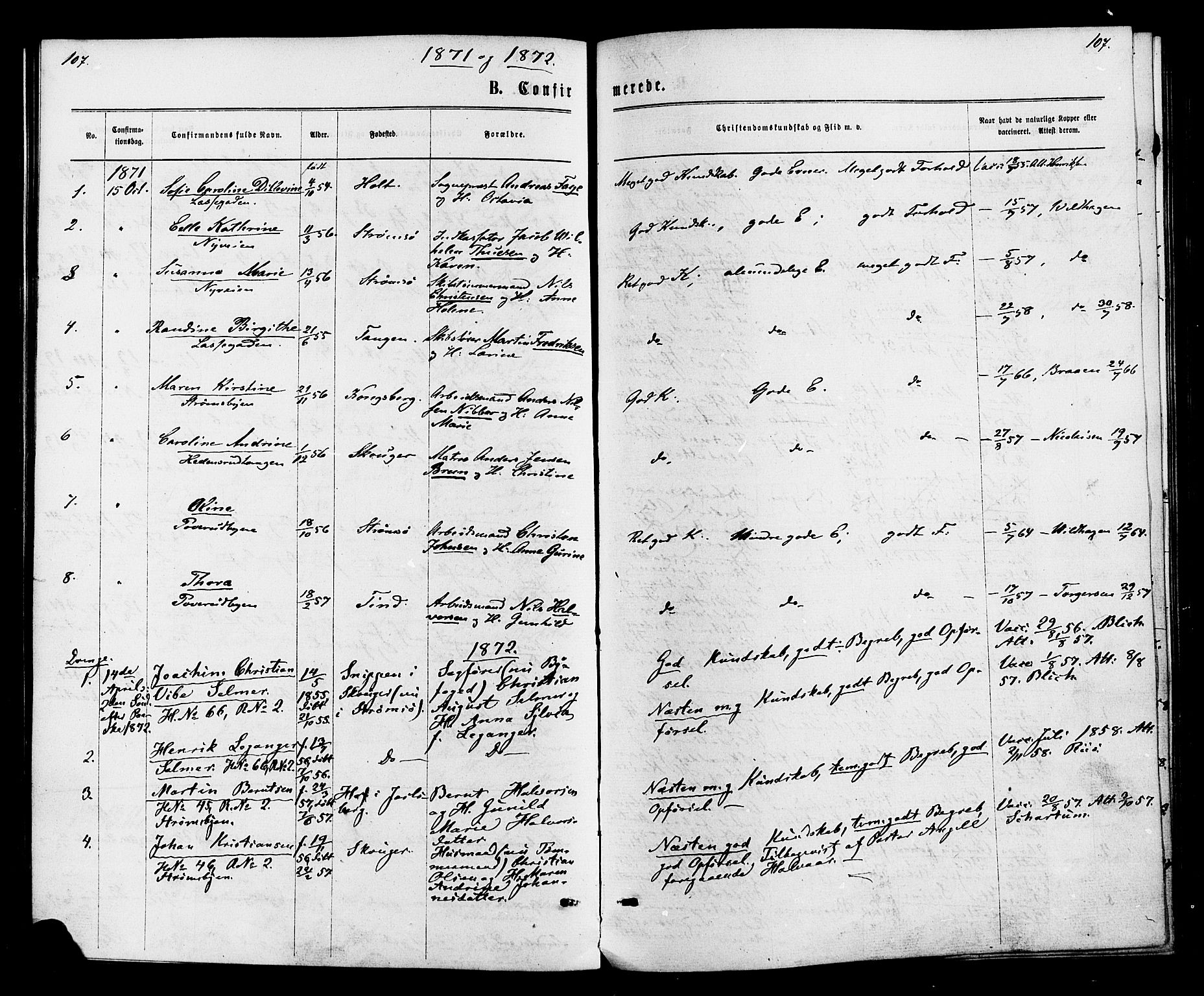 Strømsø kirkebøker, SAKO/A-246/F/Fa/L0020: Parish register (official) no. I 20, 1870-1878, p. 107
