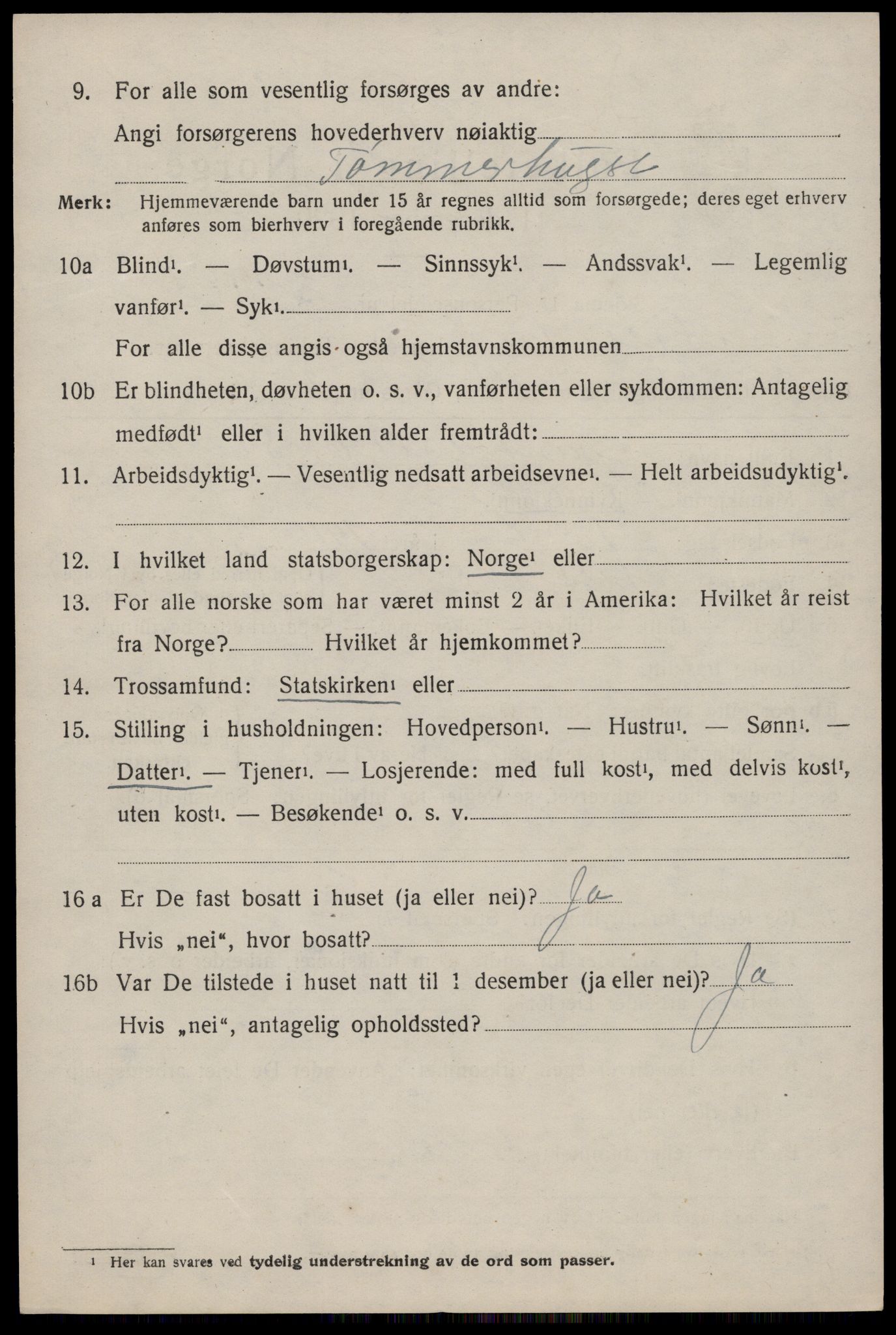 SAKO, 1920 census for Nissedal, 1920, p. 1256