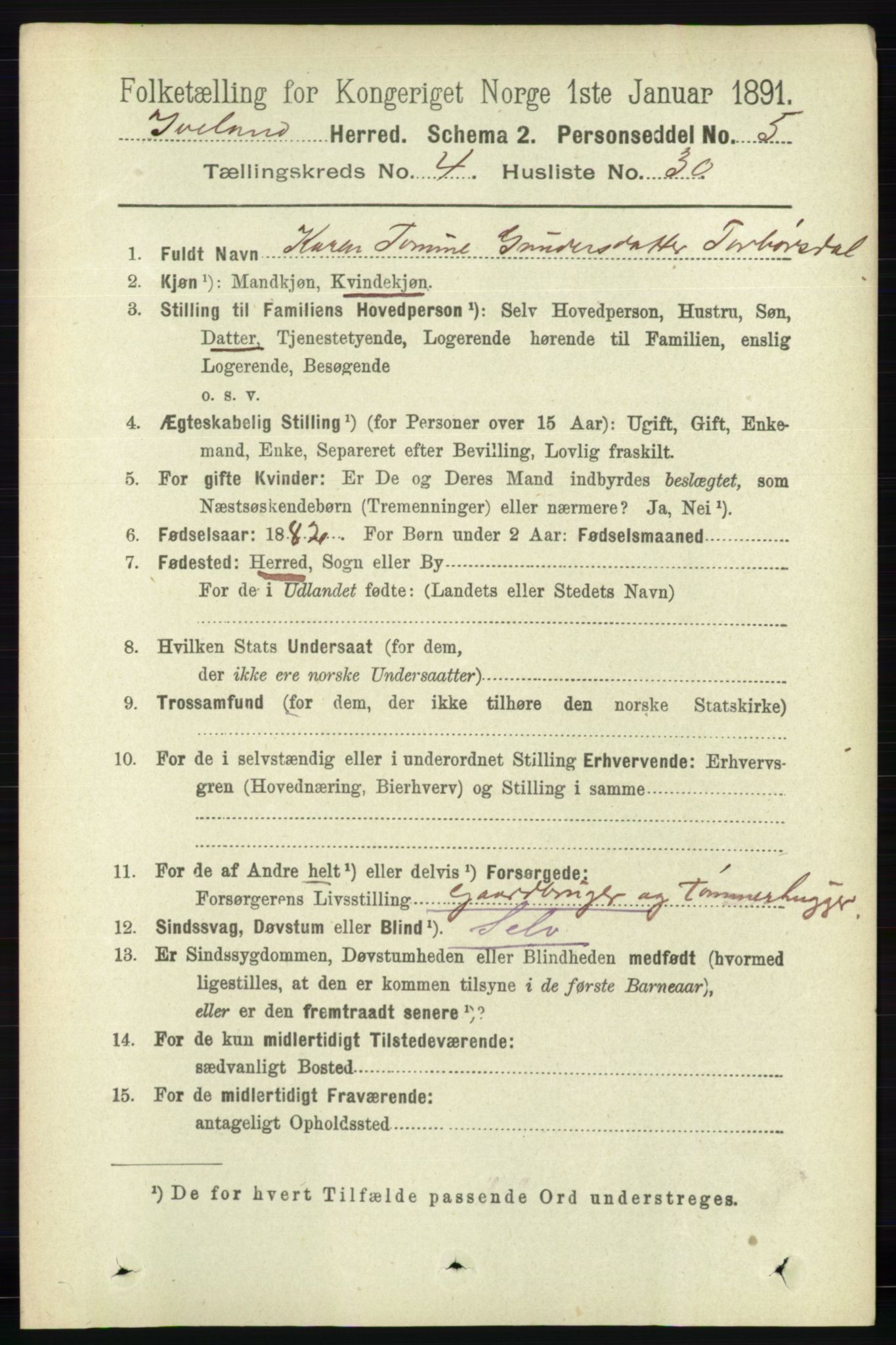 RA, 1891 census for 0935 Iveland, 1891, p. 1225