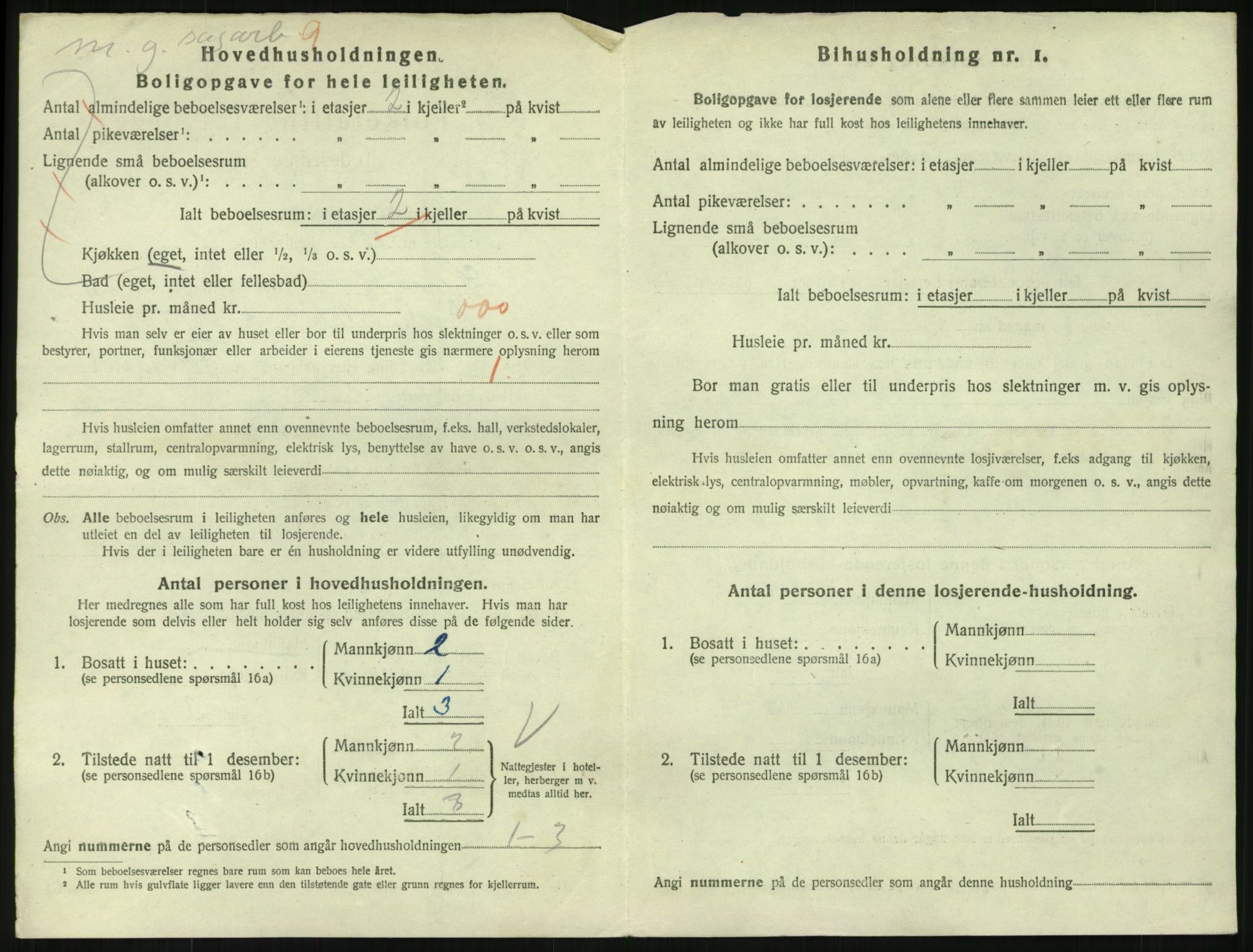 SAKO, 1920 census for Larvik, 1920, p. 8375