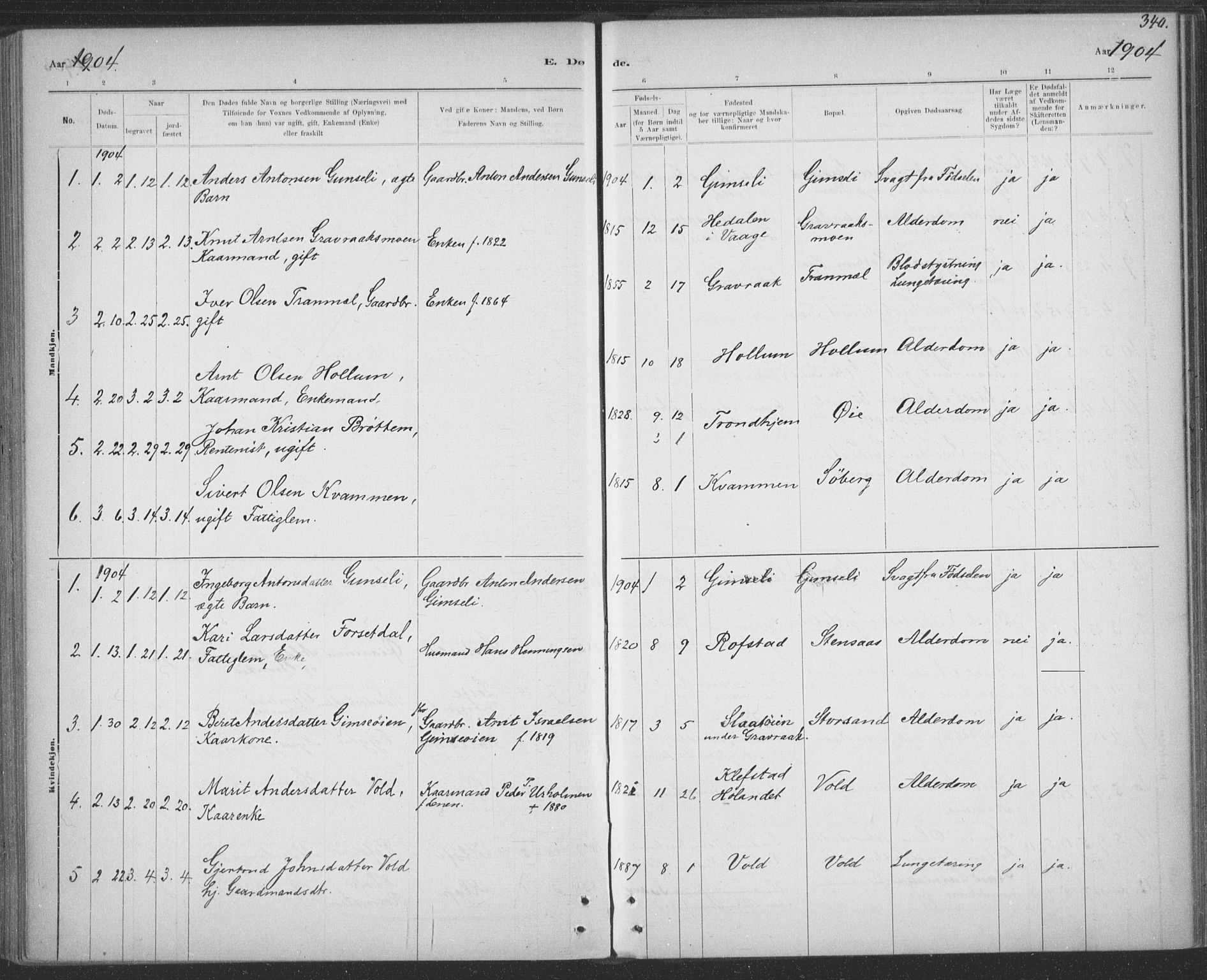 Ministerialprotokoller, klokkerbøker og fødselsregistre - Sør-Trøndelag, SAT/A-1456/691/L1085: Parish register (official) no. 691A17, 1887-1908, p. 340