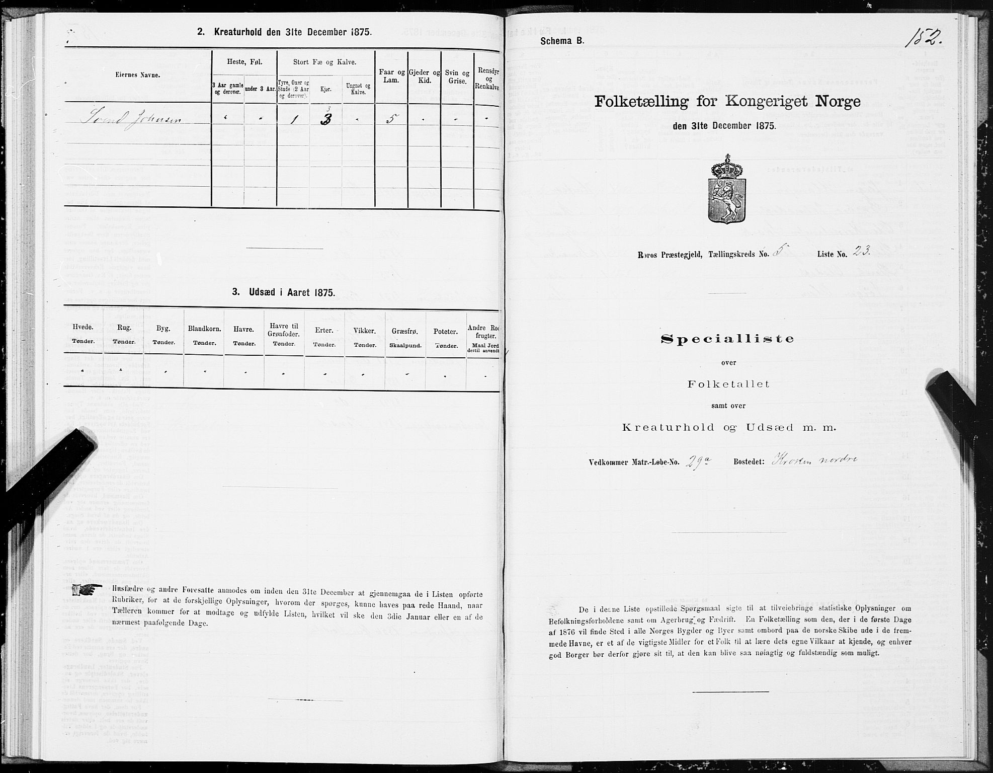 SAT, 1875 census for 1640P Røros, 1875, p. 3152