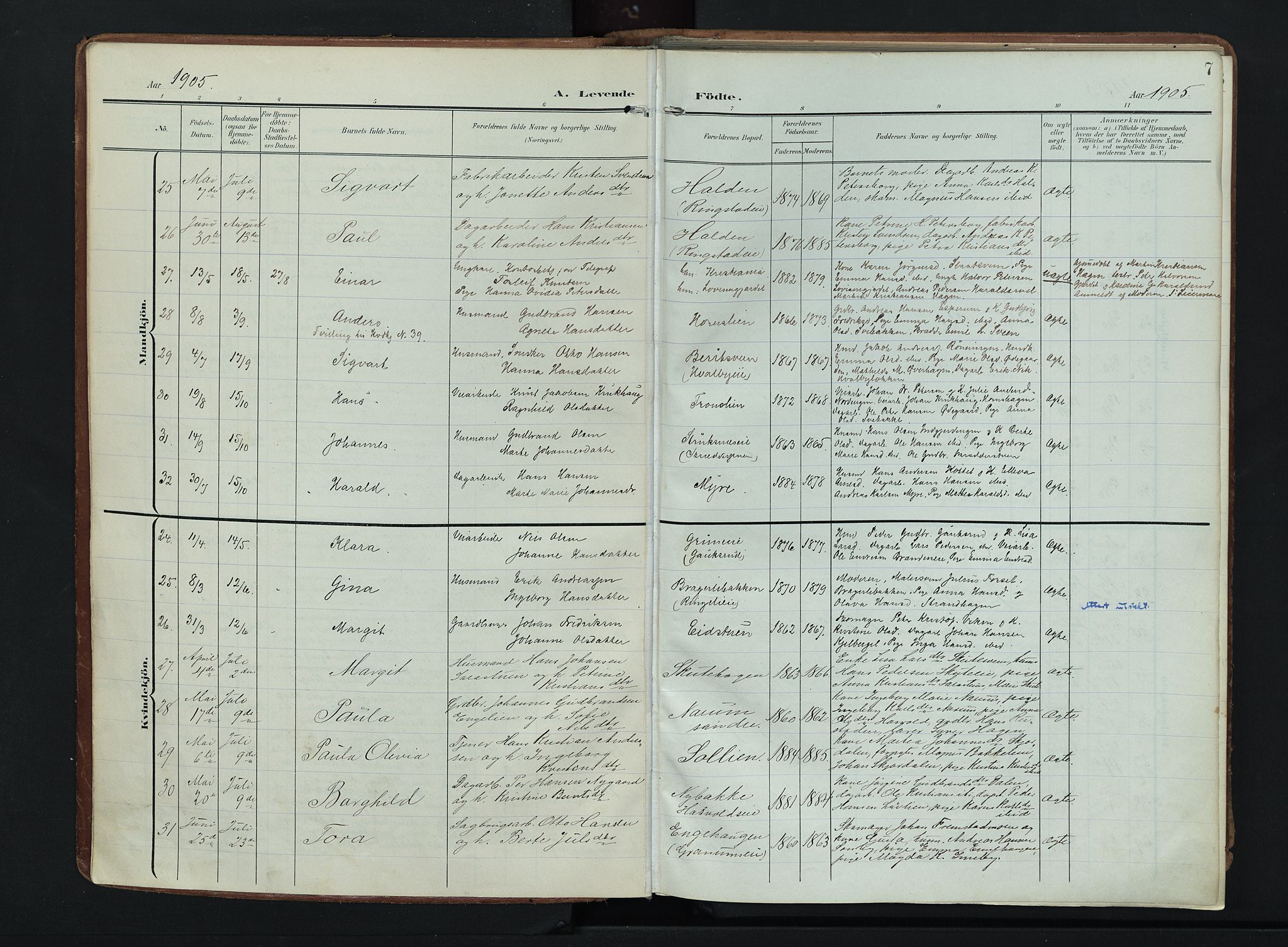 Søndre Land prestekontor, AV/SAH-PREST-122/K/L0007: Parish register (official) no. 7, 1905-1914, p. 7