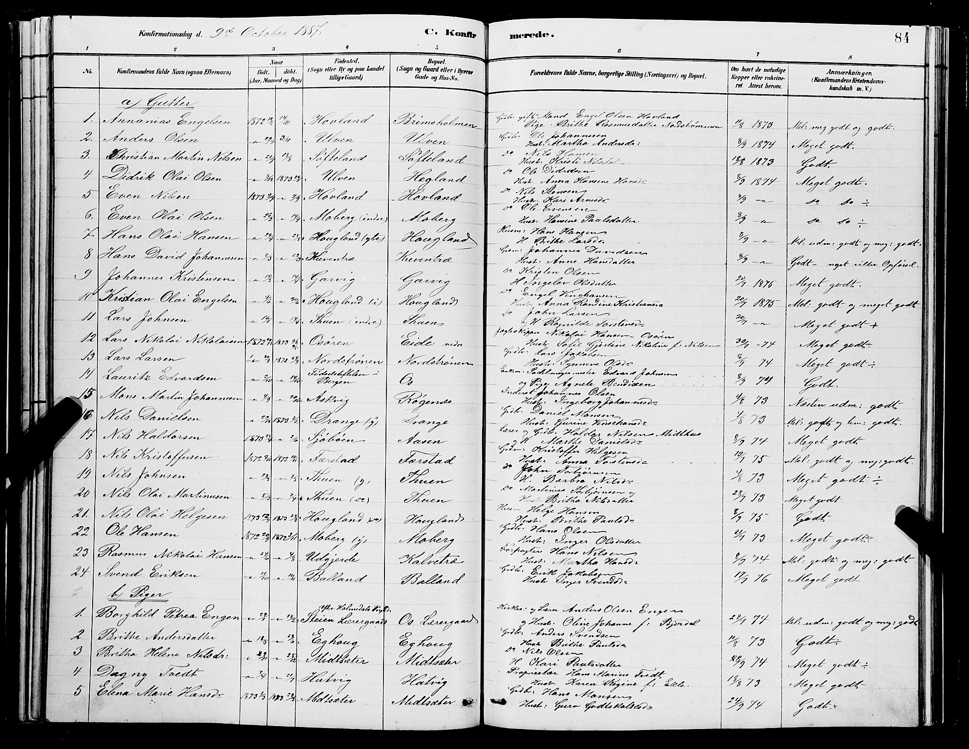 Os sokneprestembete, SAB/A-99929: Parish register (copy) no. A 2, 1880-1896, p. 84
