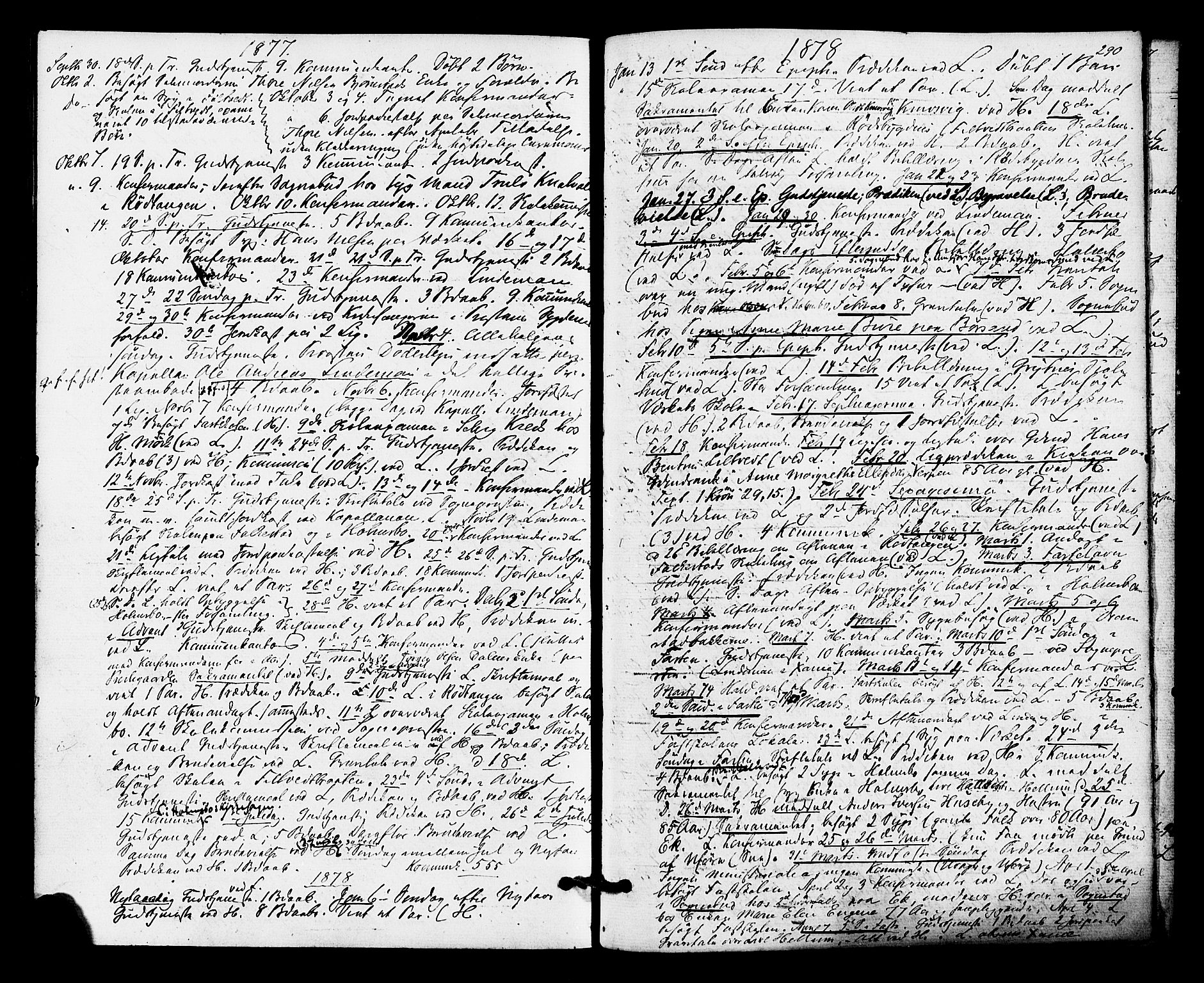 Hurum kirkebøker, AV/SAKO-A-229/F/Fa/L0013: Parish register (official) no. 13, 1876-1881, p. 290