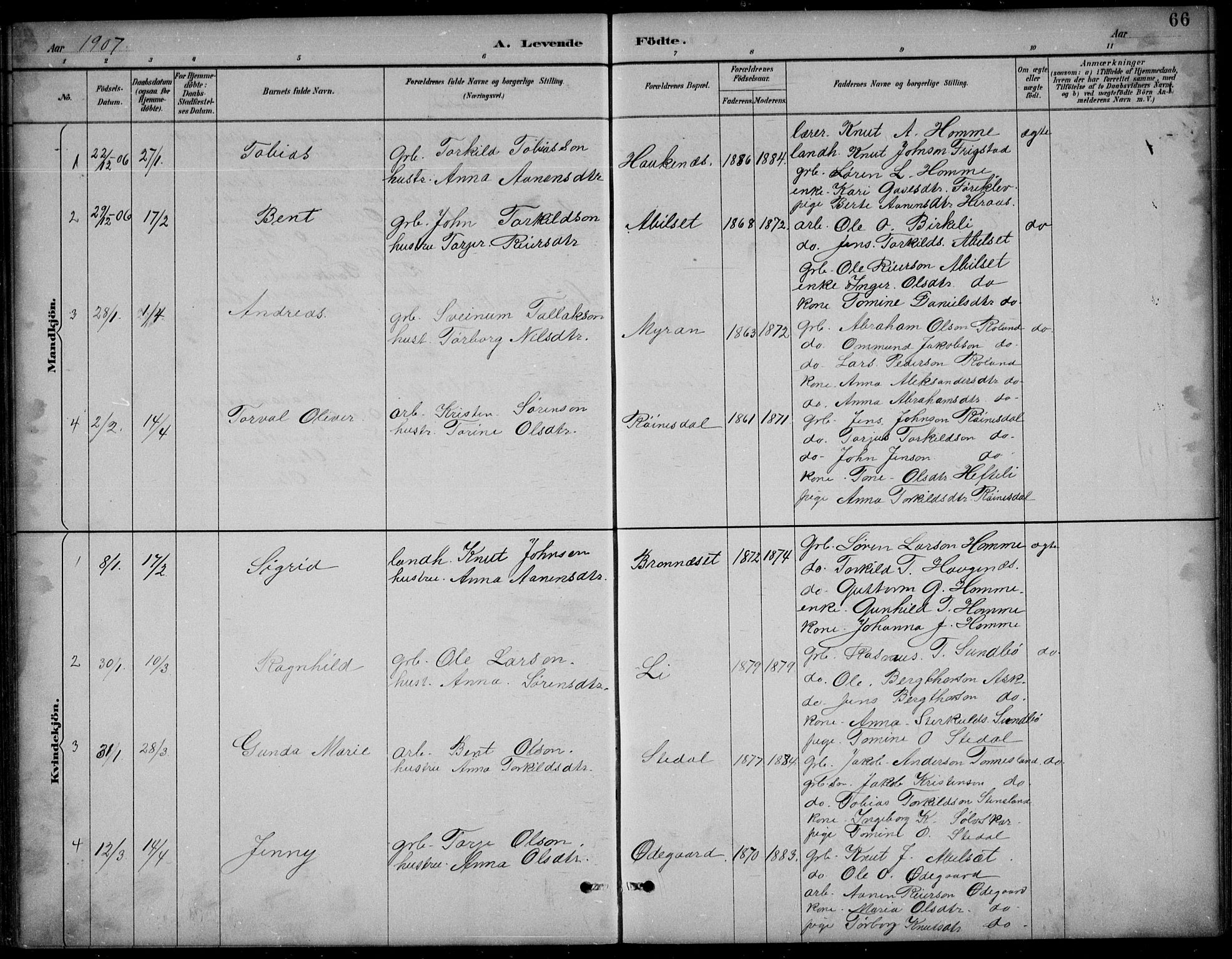 Bjelland sokneprestkontor, SAK/1111-0005/F/Fb/Fba/L0005: Parish register (copy) no. B 5, 1887-1923, p. 66