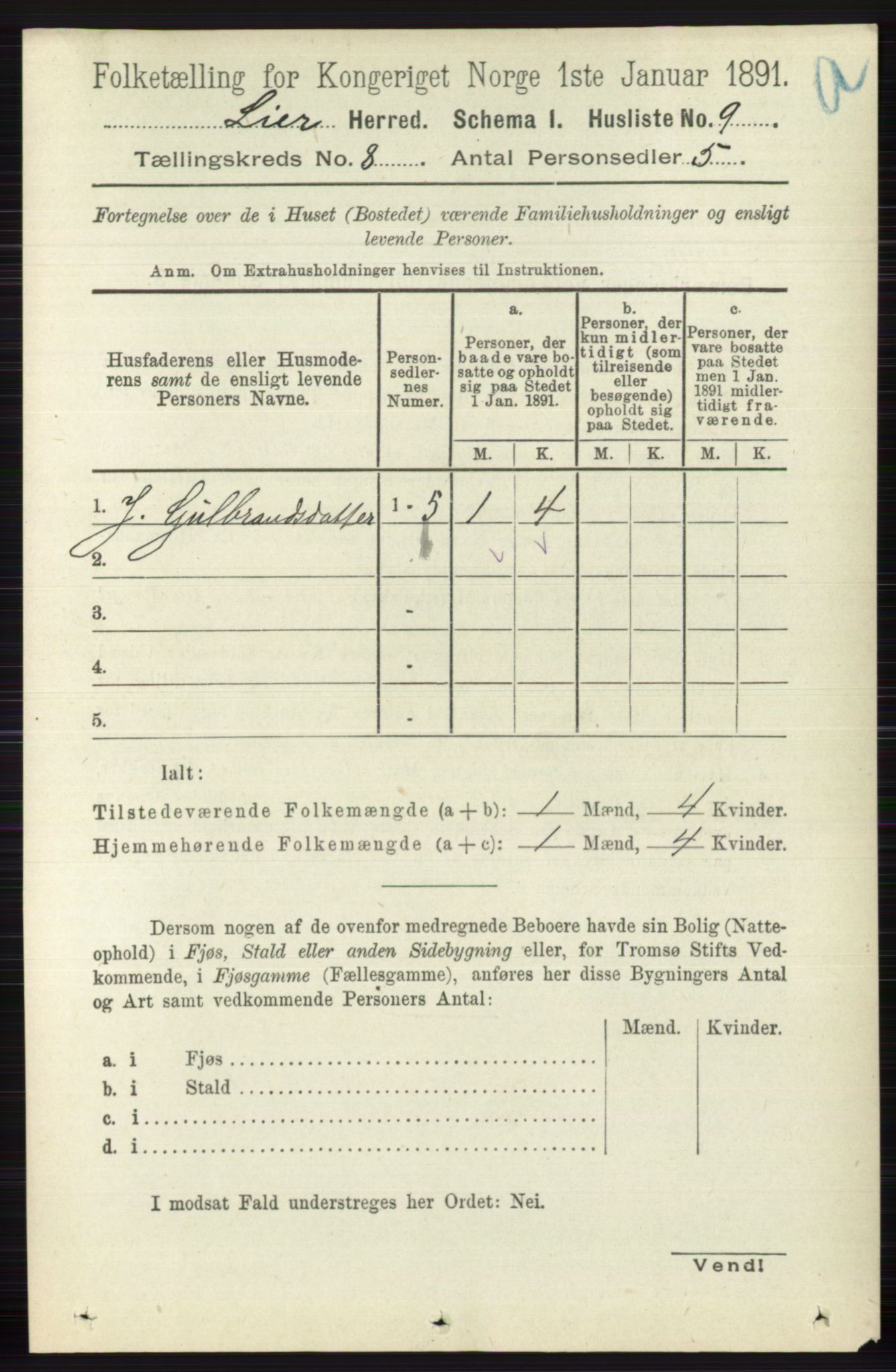 RA, 1891 census for 0626 Lier, 1891, p. 5006