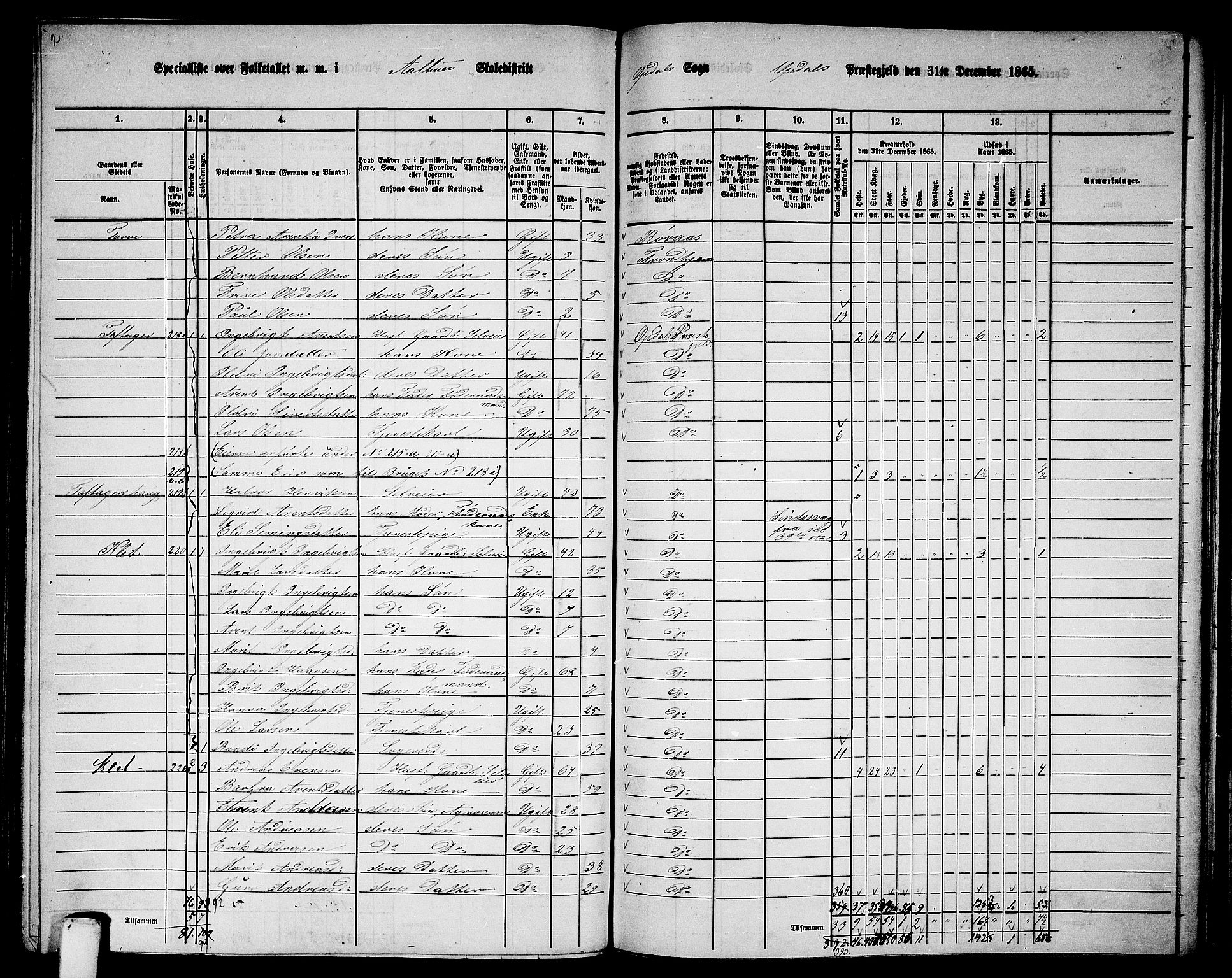 RA, 1865 census for Oppdal, 1865, p. 117