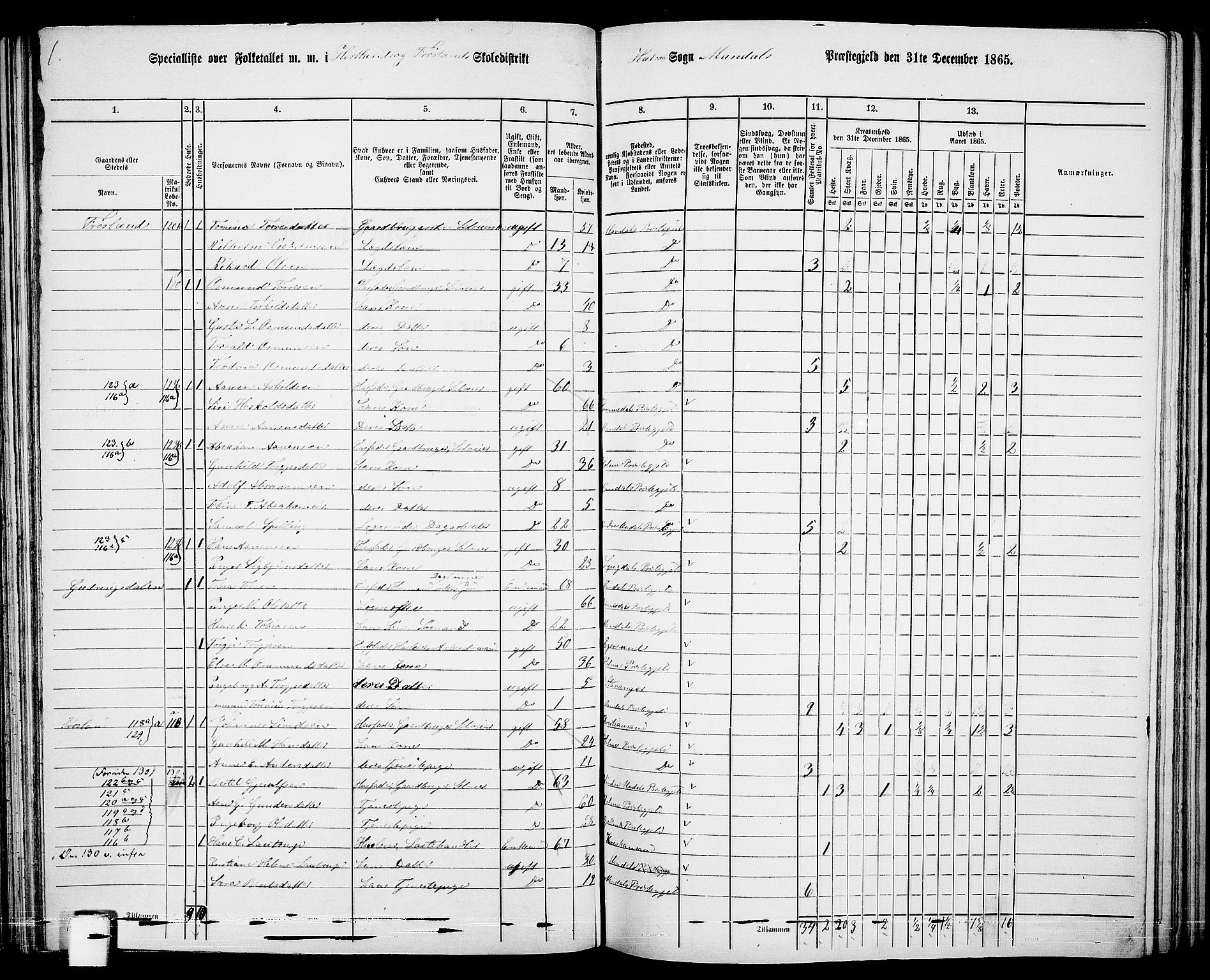 RA, 1865 census for Mandal/Halse og Harkmark, 1865, p. 76