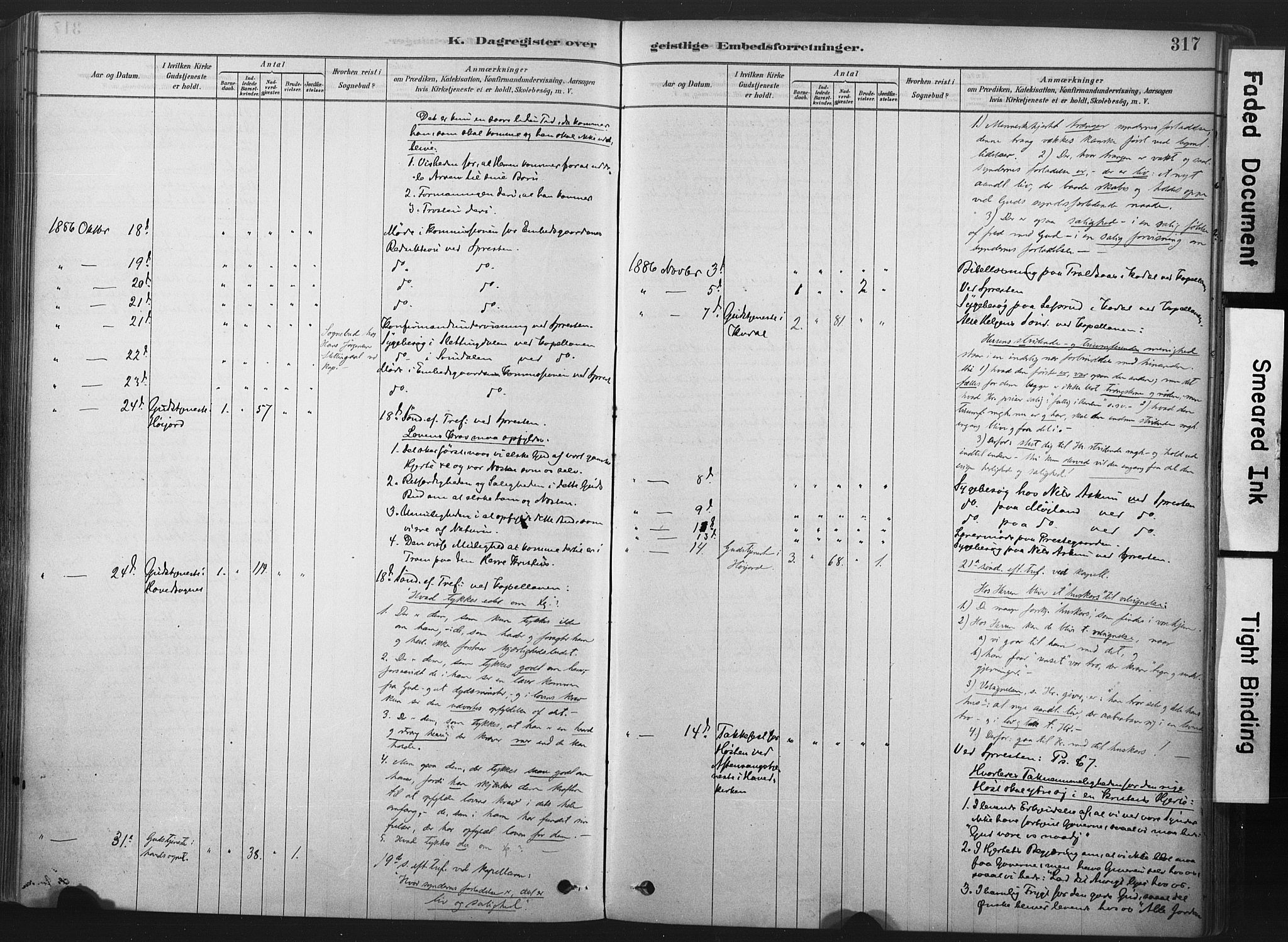 Andebu kirkebøker, AV/SAKO-A-336/F/Fa/L0007: Parish register (official) no. I 7, 1878-1899, p. 317