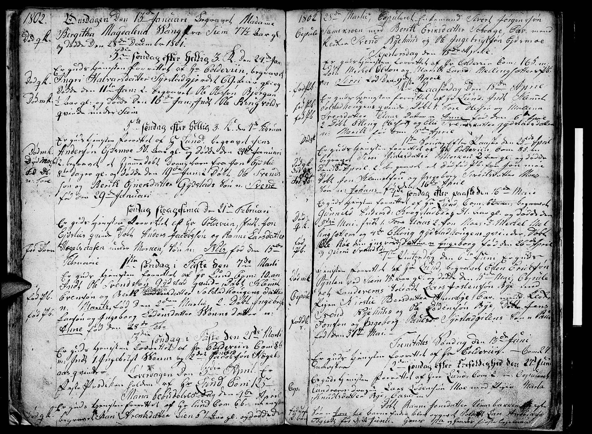 Ministerialprotokoller, klokkerbøker og fødselsregistre - Sør-Trøndelag, SAT/A-1456/667/L0794: Parish register (official) no. 667A02, 1791-1816