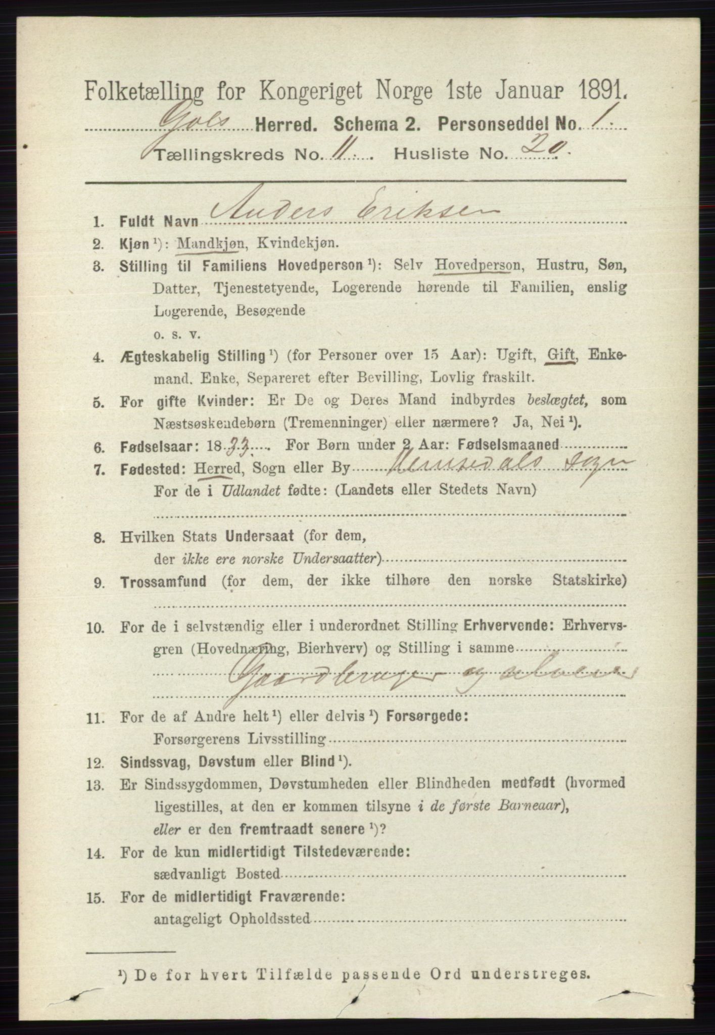 RA, 1891 census for 0617 Gol og Hemsedal, 1891, p. 4469