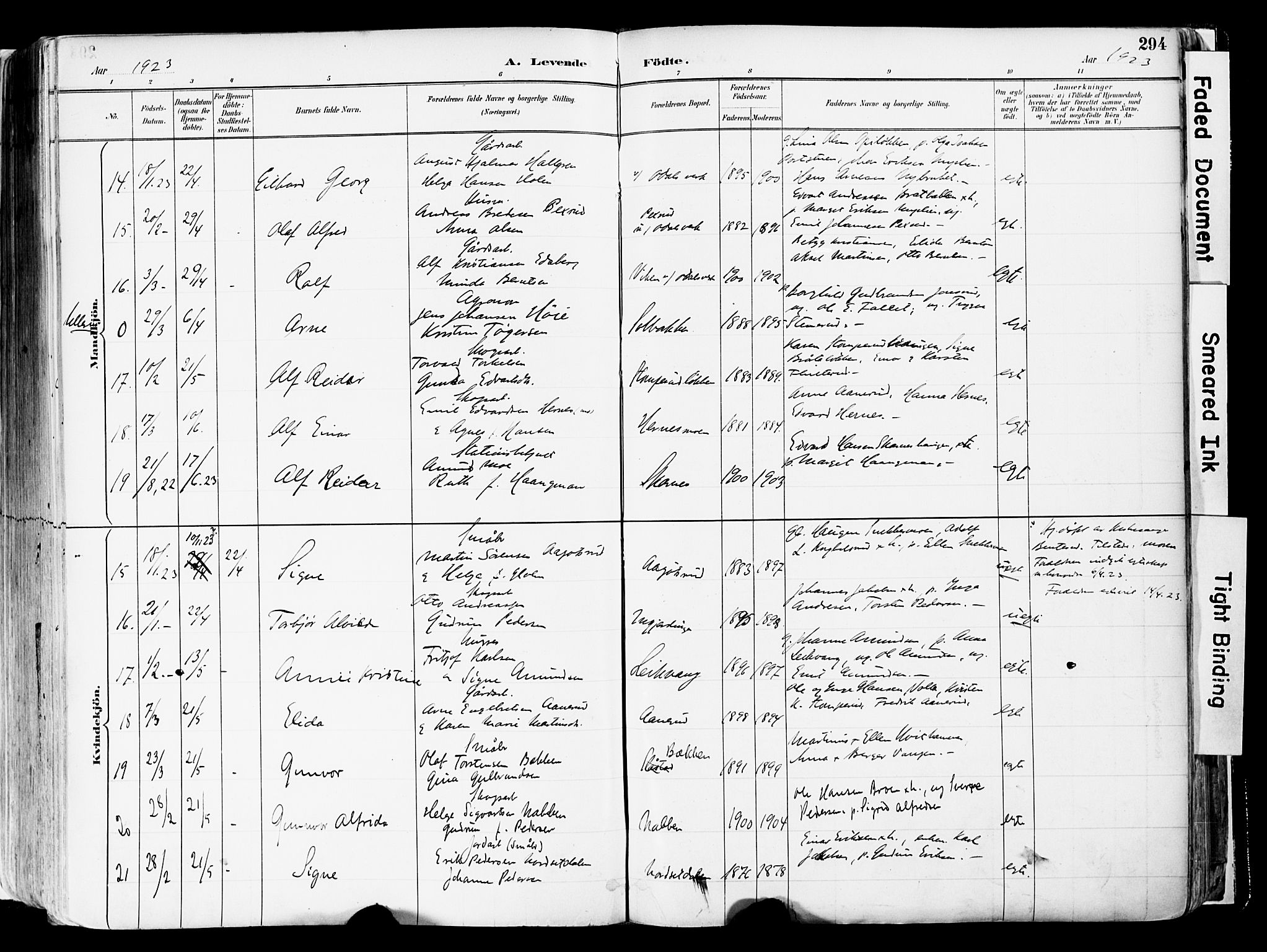 Sør-Odal prestekontor, AV/SAH-PREST-030/H/Ha/Haa/L0006: Parish register (official) no. 6, 1886-1931, p. 294