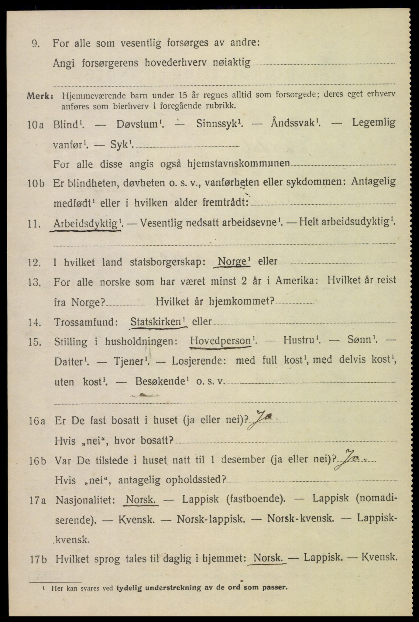 SAT, 1920 census for Saltdal, 1920, p. 1244