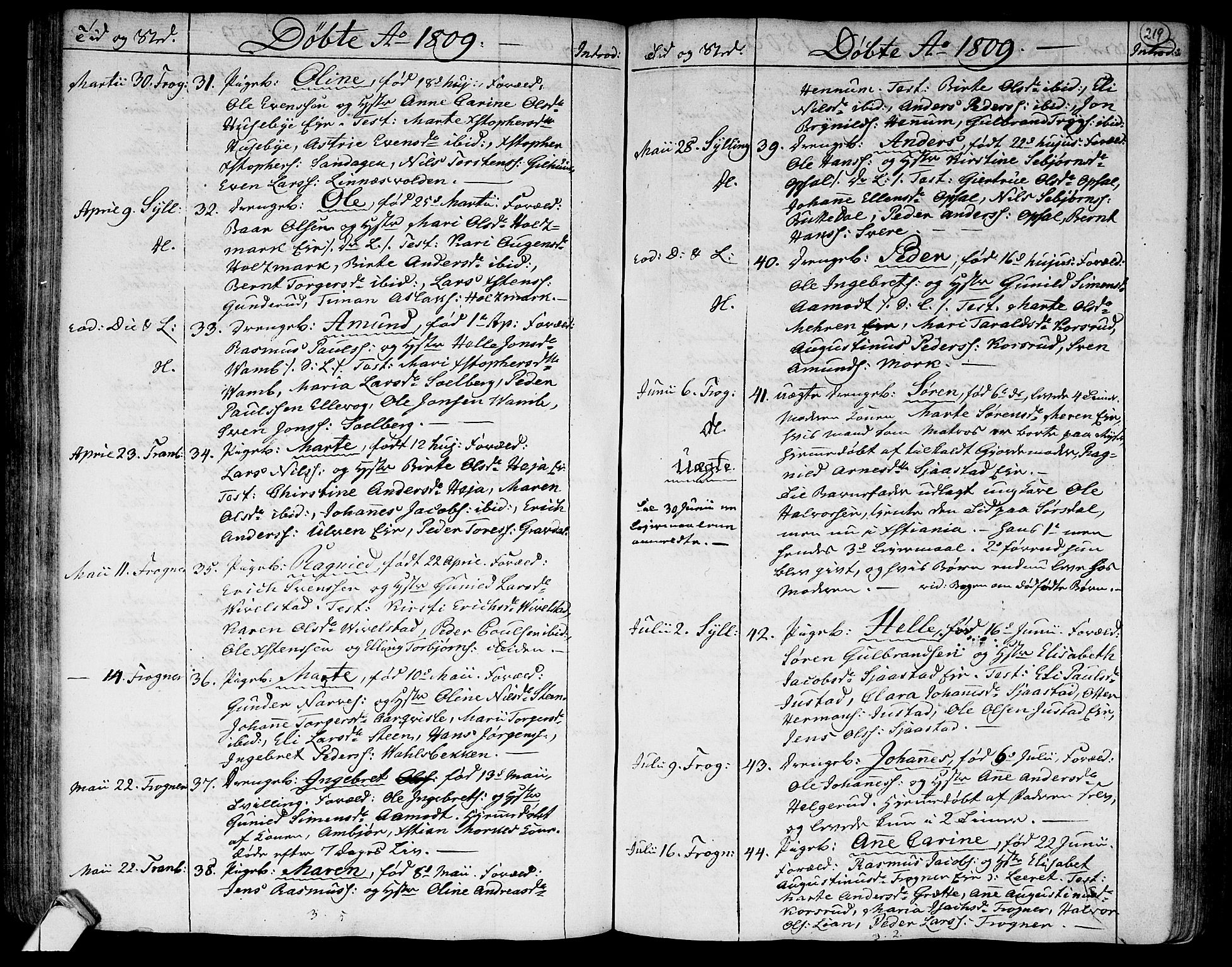 Lier kirkebøker, AV/SAKO-A-230/F/Fa/L0007: Parish register (official) no. I 7, 1794-1813, p. 219