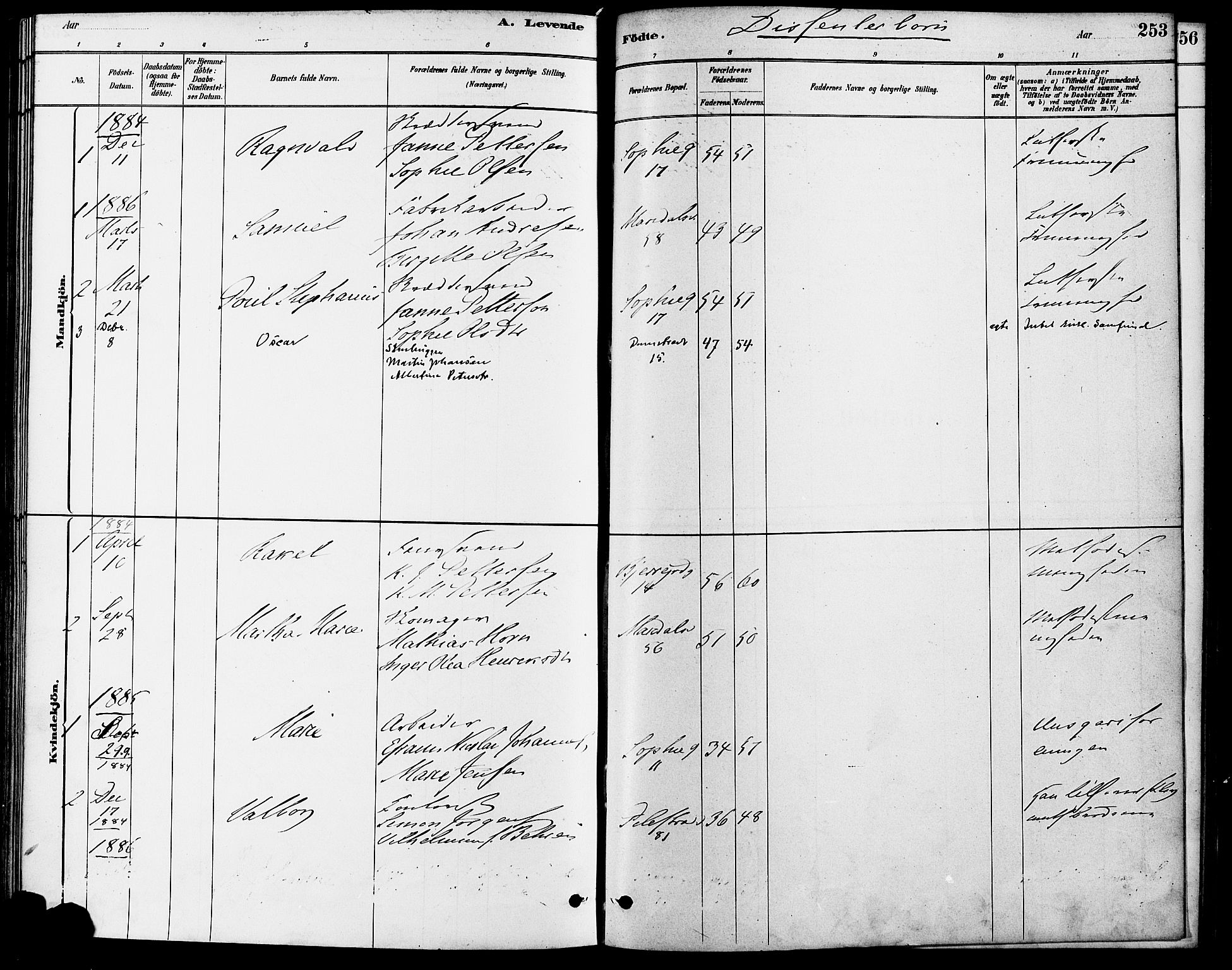 Gamle Aker prestekontor Kirkebøker, SAO/A-10617a/F/L0006: Parish register (official) no. 6, 1880-1887, p. 253