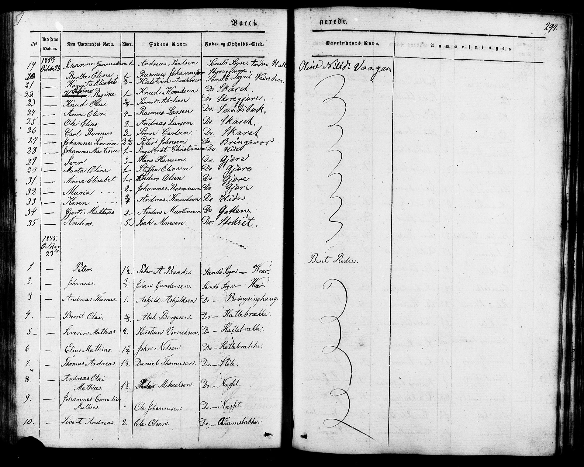 Ministerialprotokoller, klokkerbøker og fødselsregistre - Møre og Romsdal, AV/SAT-A-1454/503/L0034: Parish register (official) no. 503A02, 1841-1884, p. 294