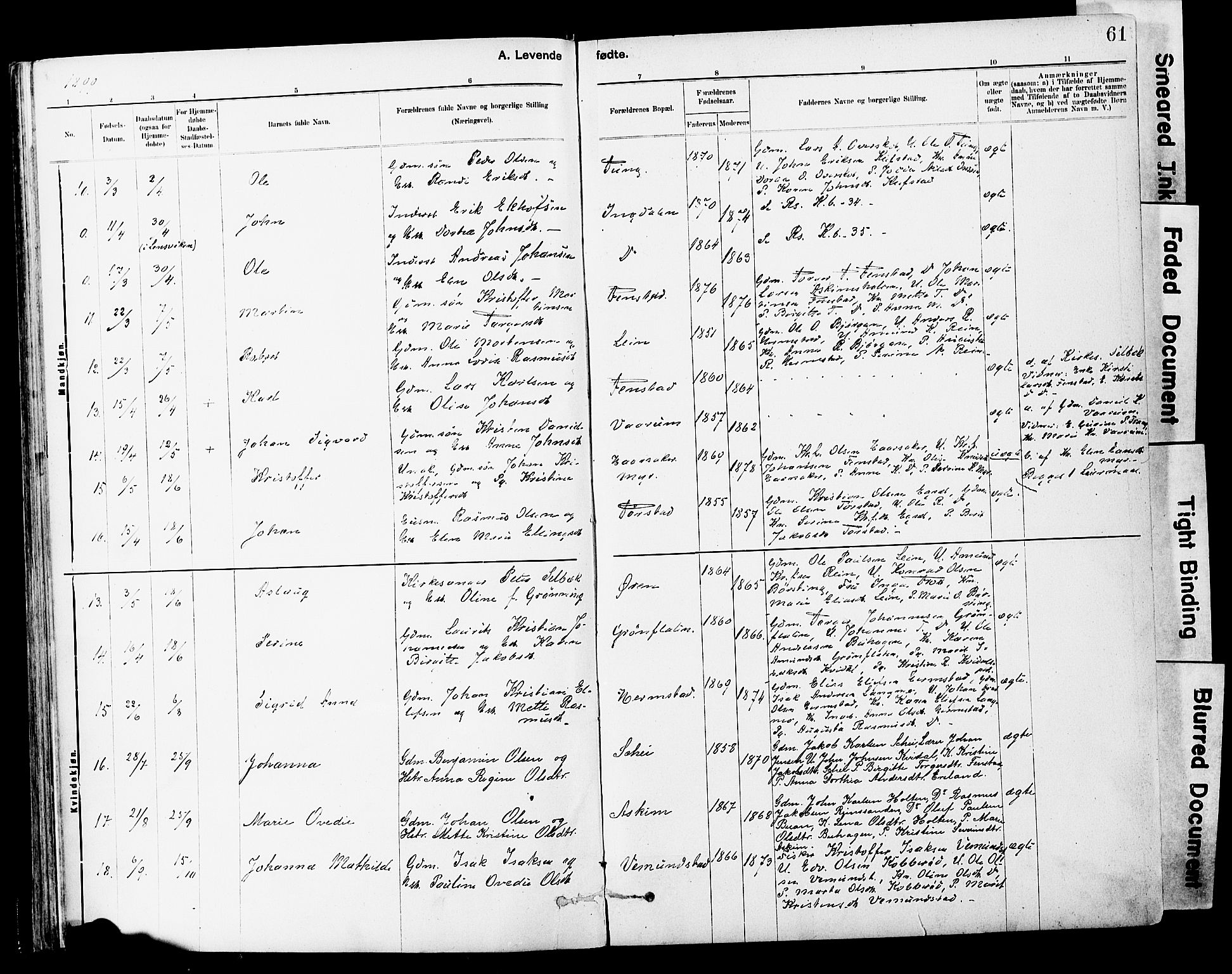 Ministerialprotokoller, klokkerbøker og fødselsregistre - Sør-Trøndelag, SAT/A-1456/646/L0615: Parish register (official) no. 646A13, 1885-1900, p. 61