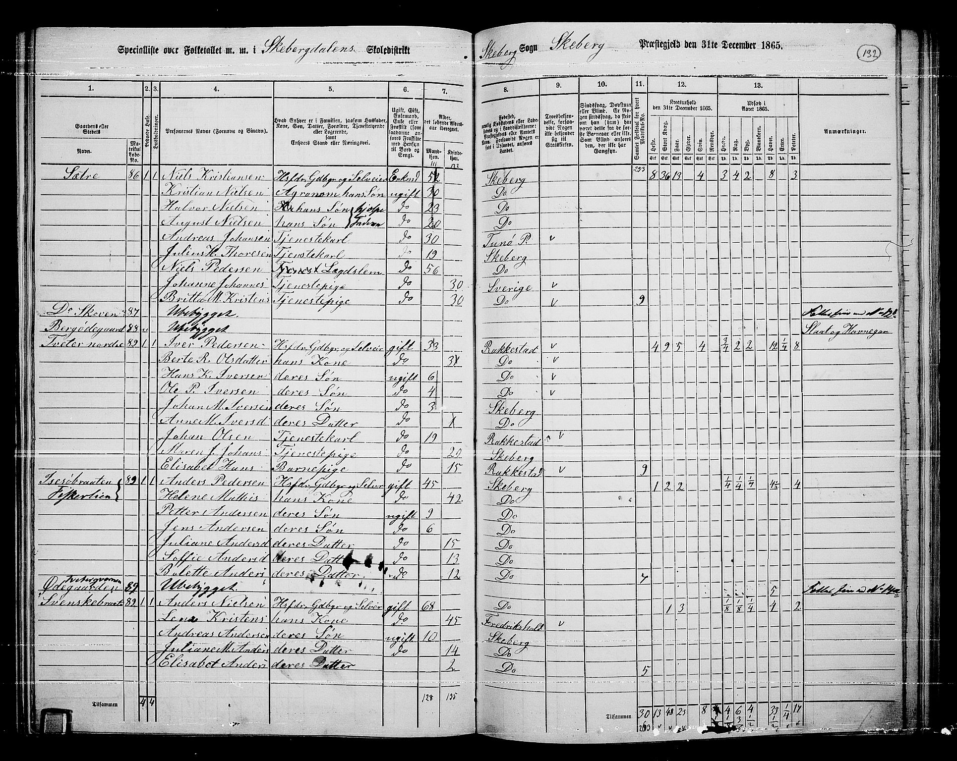 RA, 1865 census for Skjeberg, 1865, p. 123