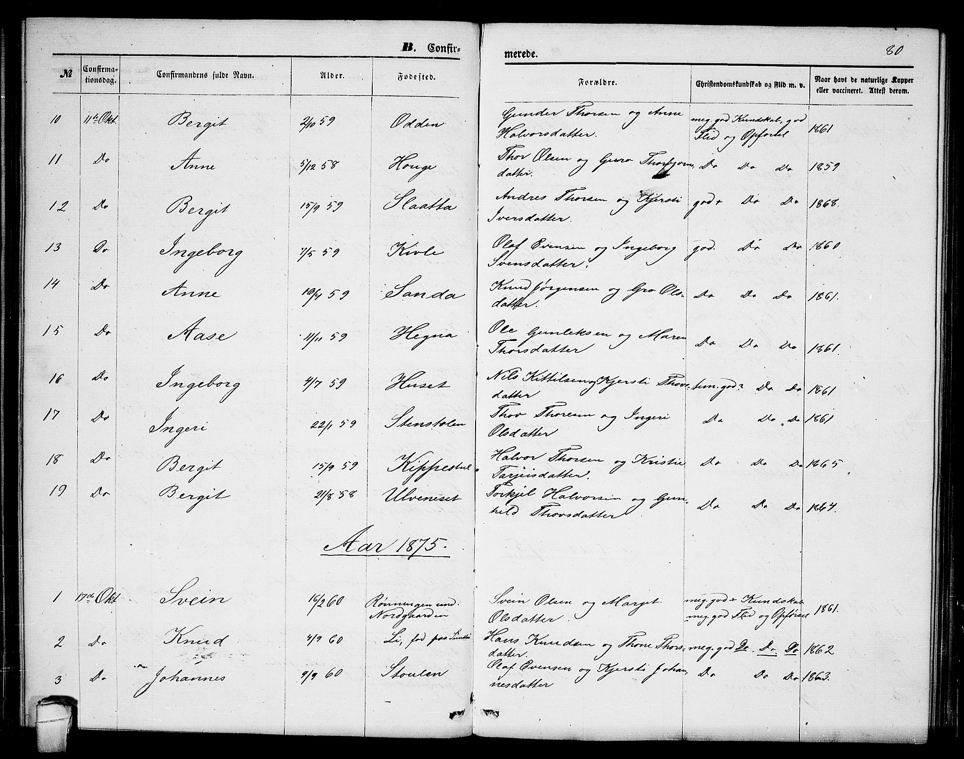 Seljord kirkebøker, SAKO/A-20/G/Ga/L0004: Parish register (copy) no. I 4, 1873-1886, p. 80