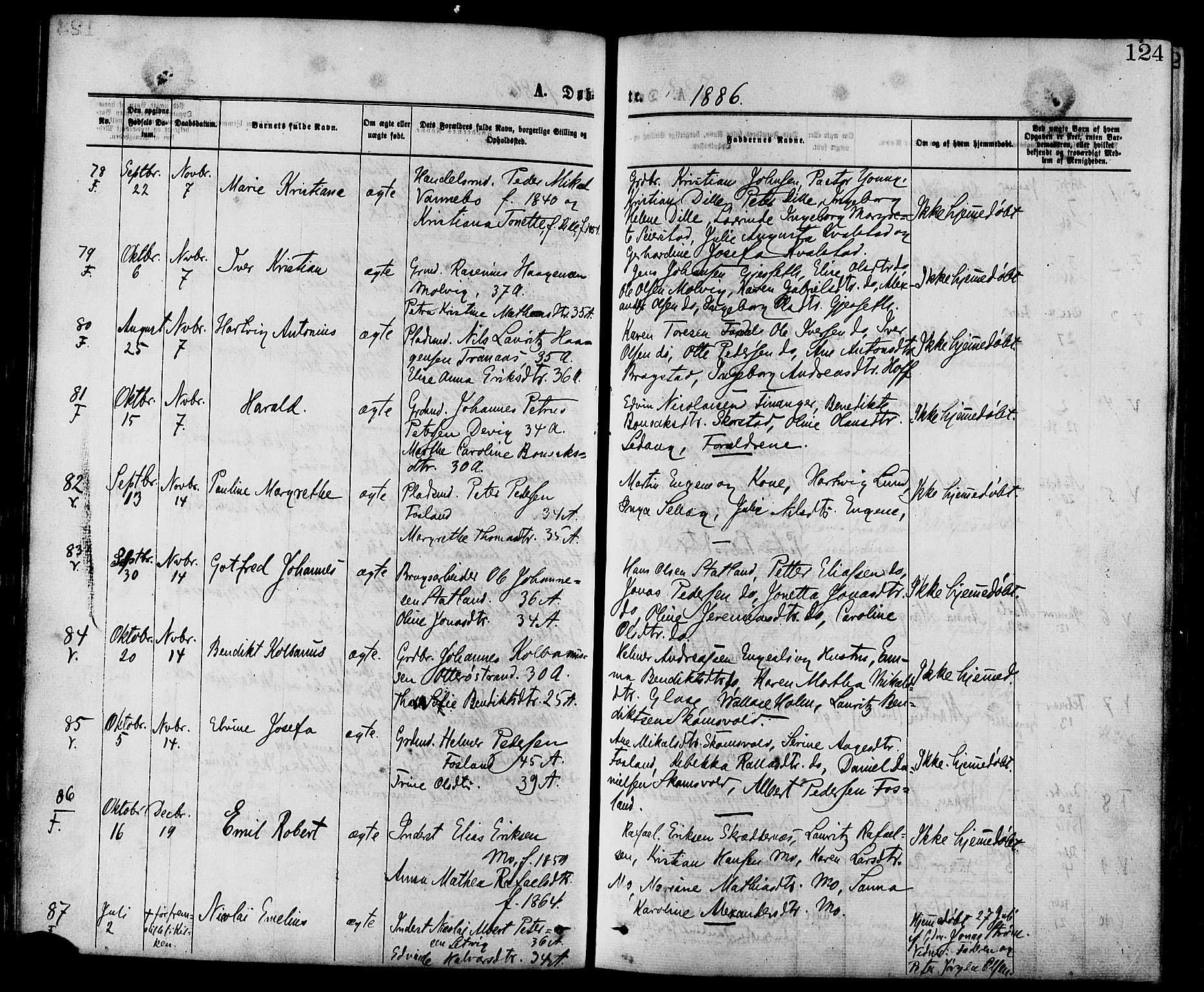 Ministerialprotokoller, klokkerbøker og fødselsregistre - Nord-Trøndelag, SAT/A-1458/773/L0616: Parish register (official) no. 773A07, 1870-1887, p. 124