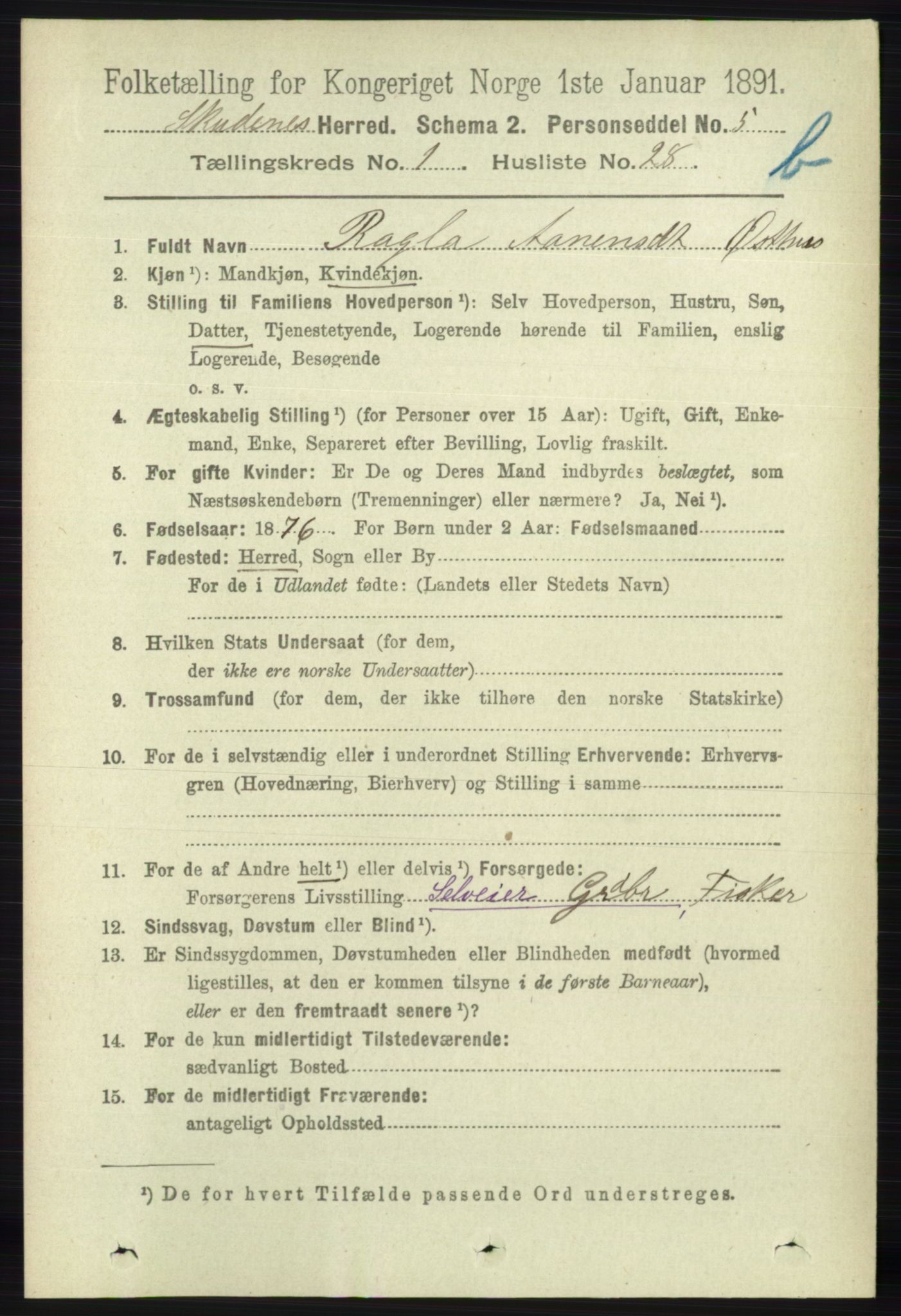 RA, 1891 census for 1150 Skudenes, 1891, p. 3555