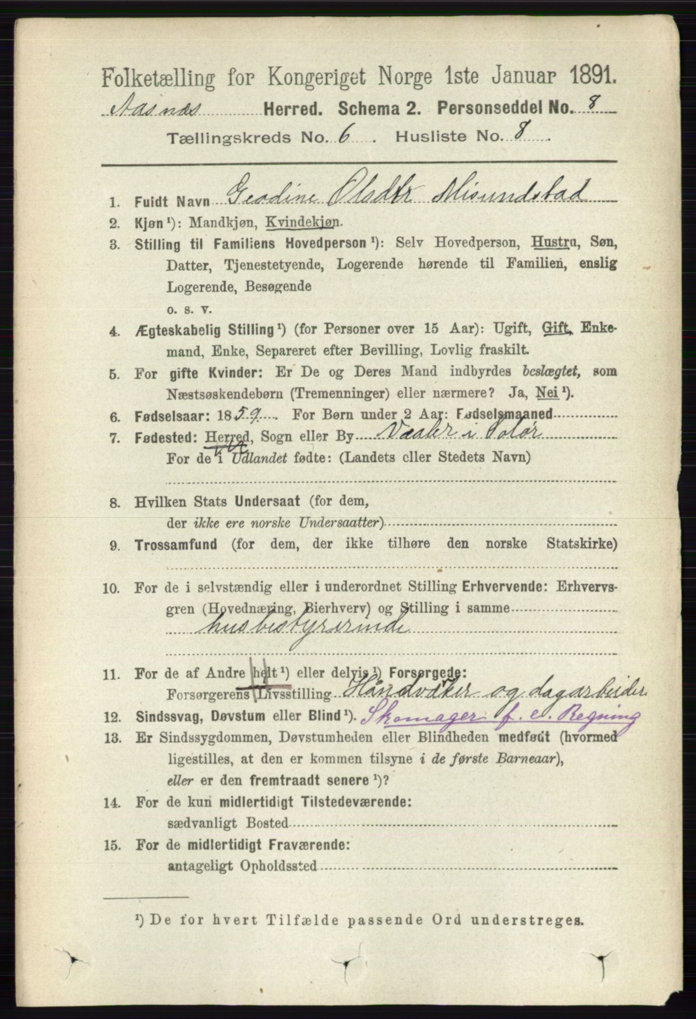 RA, 1891 census for 0425 Åsnes, 1891, p. 2834