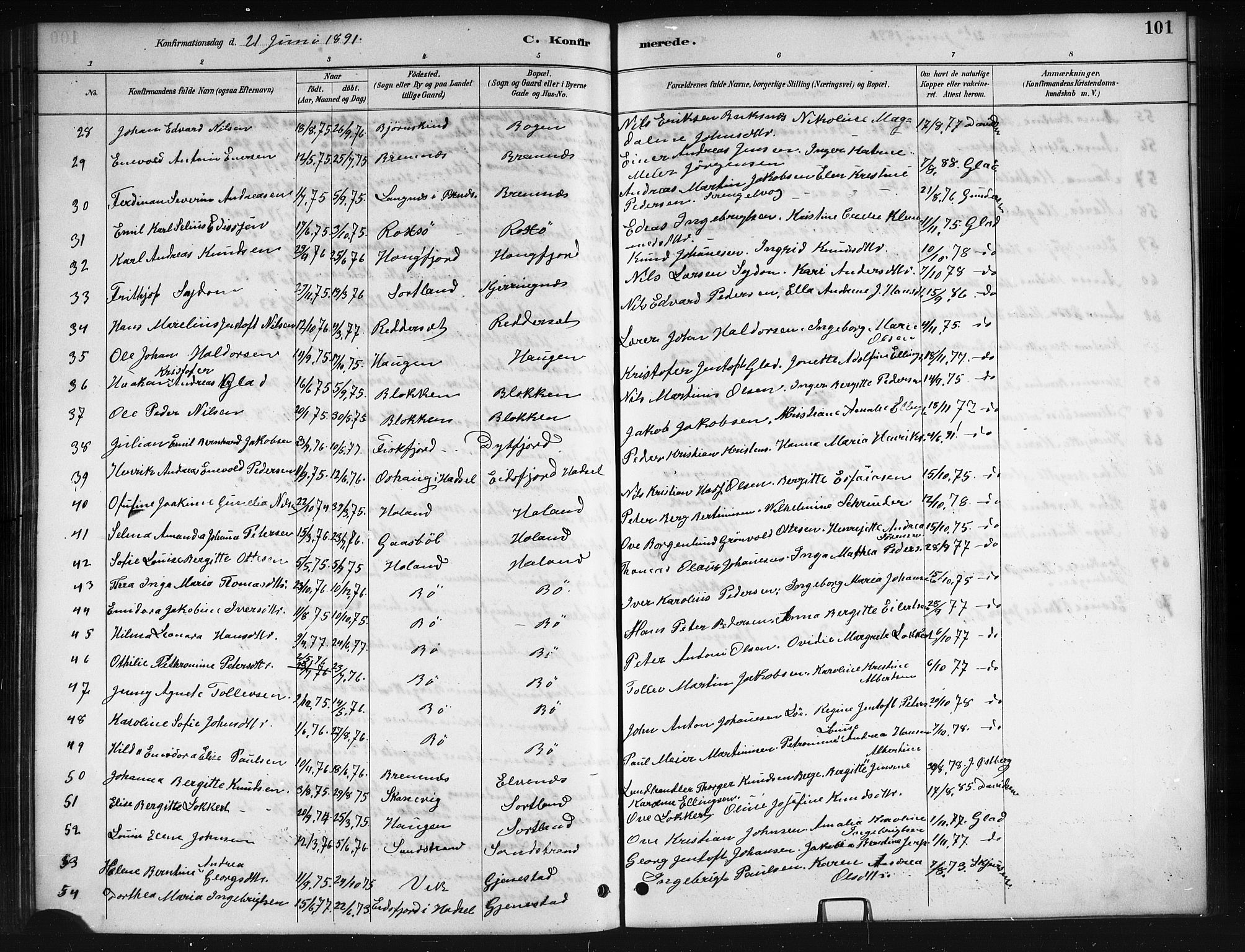 Ministerialprotokoller, klokkerbøker og fødselsregistre - Nordland, SAT/A-1459/895/L1382: Parish register (copy) no. 895C04, 1885-1896, p. 101
