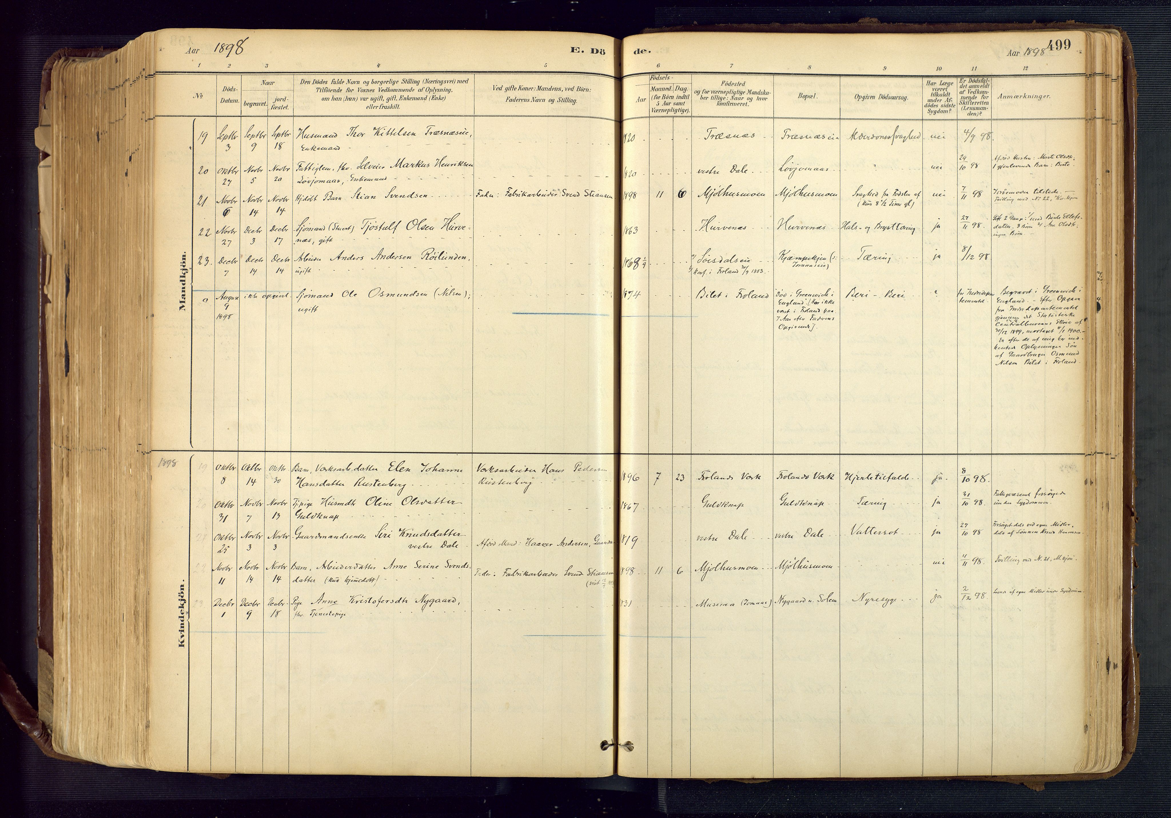 Froland sokneprestkontor, AV/SAK-1111-0013/F/Fa/L0005: Parish register (official) no. A 5, 1882-1921, p. 499