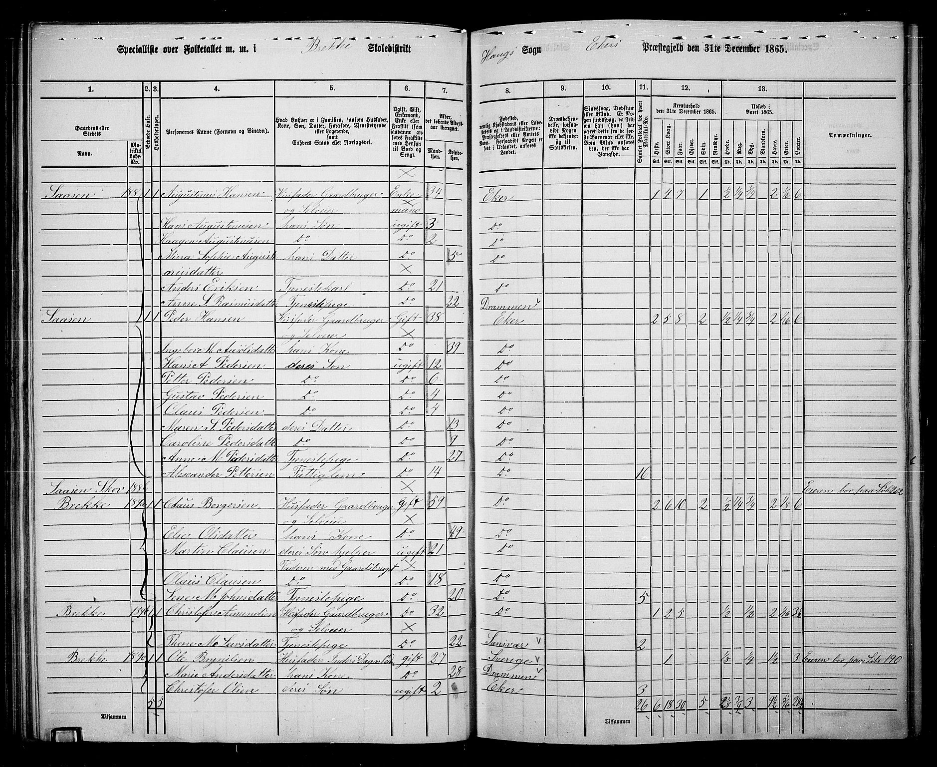 RA, 1865 census for Eiker, 1865, p. 65