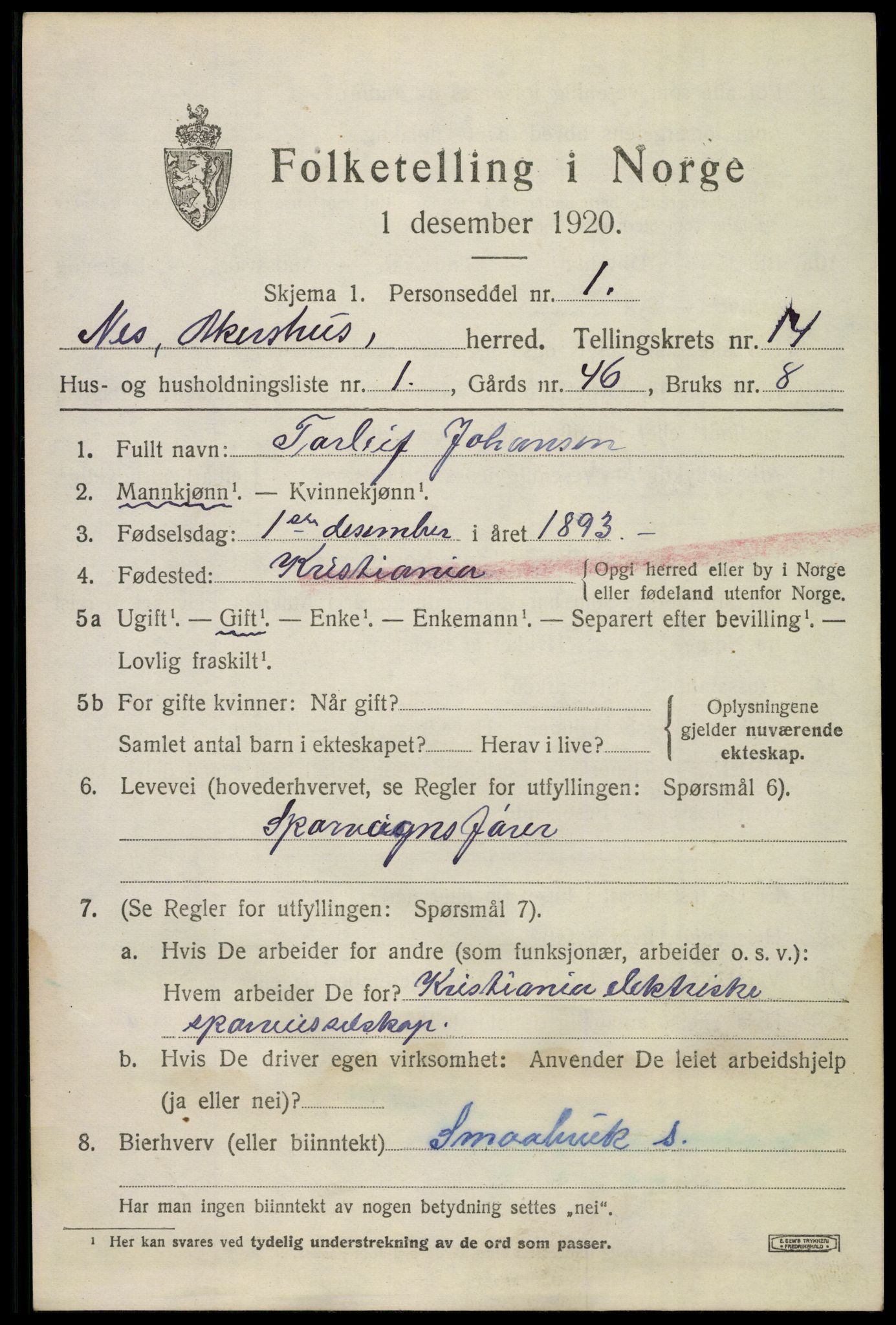 SAO, 1920 census for Nes, 1920, p. 13948