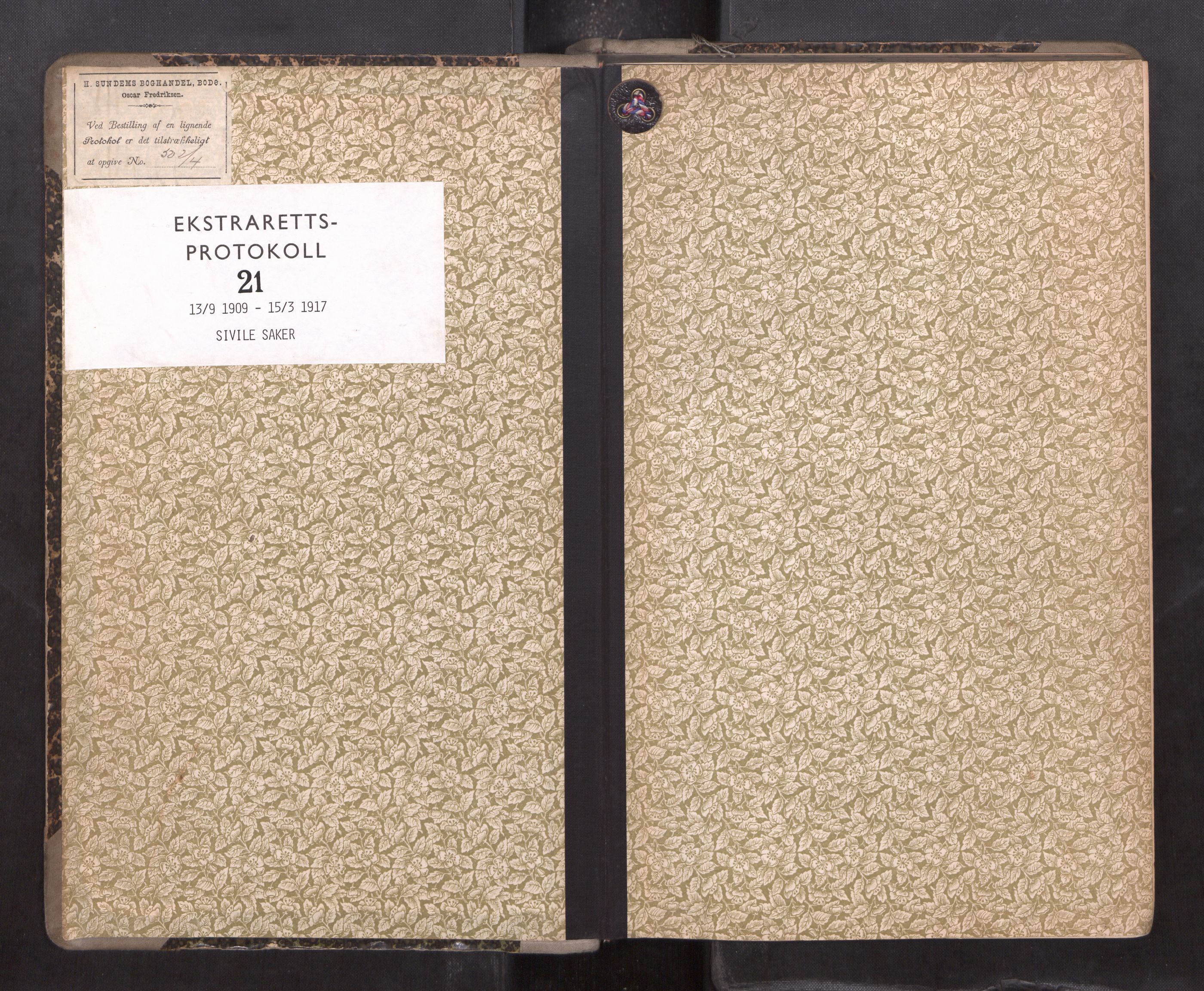 Rana sorenskriveri , SAT/A-1108/1/1/1B/L0021: Ekstrarettsprotokoll, 1909-1917