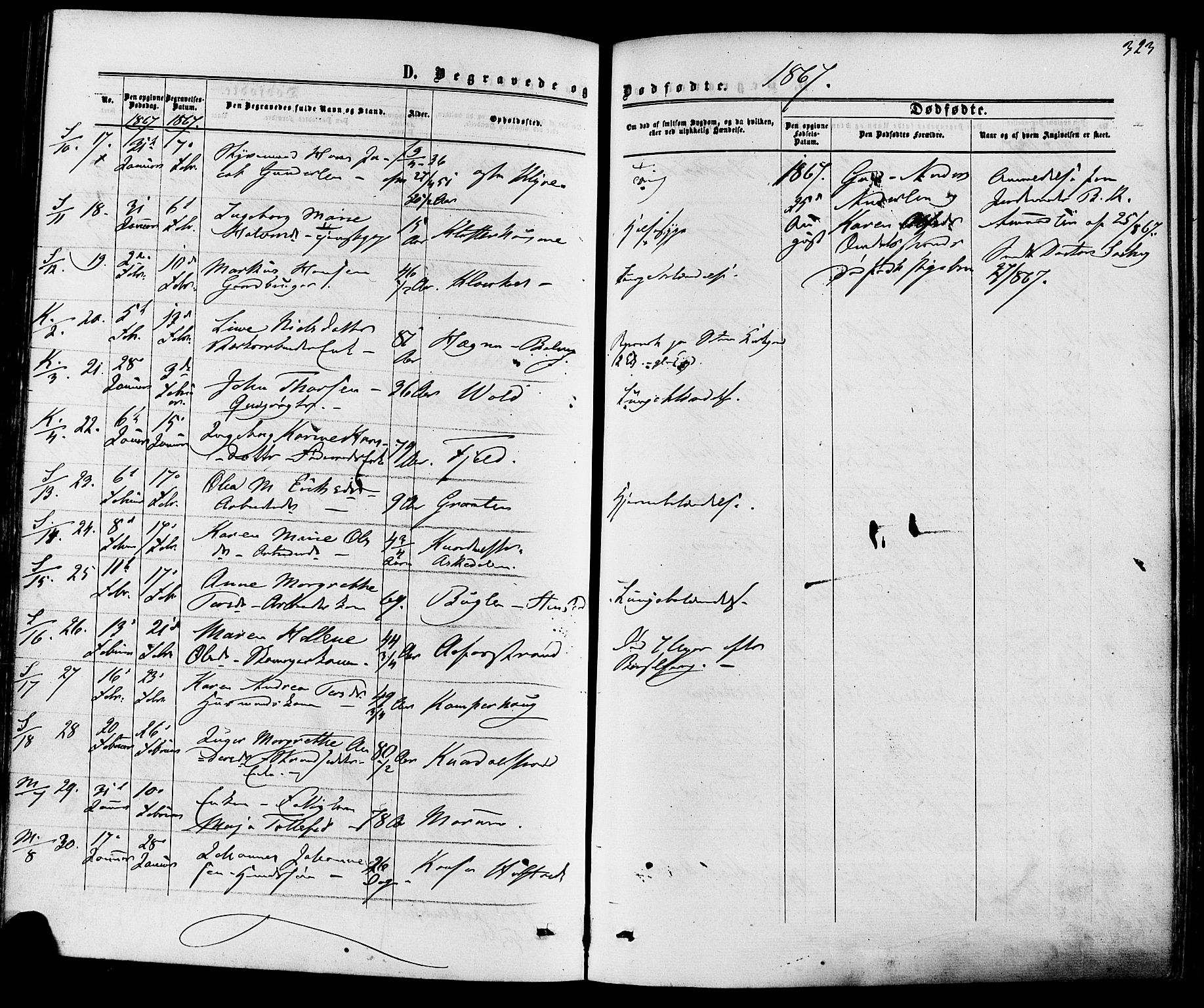 Solum kirkebøker, AV/SAKO-A-306/F/Fa/L0008: Parish register (official) no. I 8, 1865-1876, p. 323