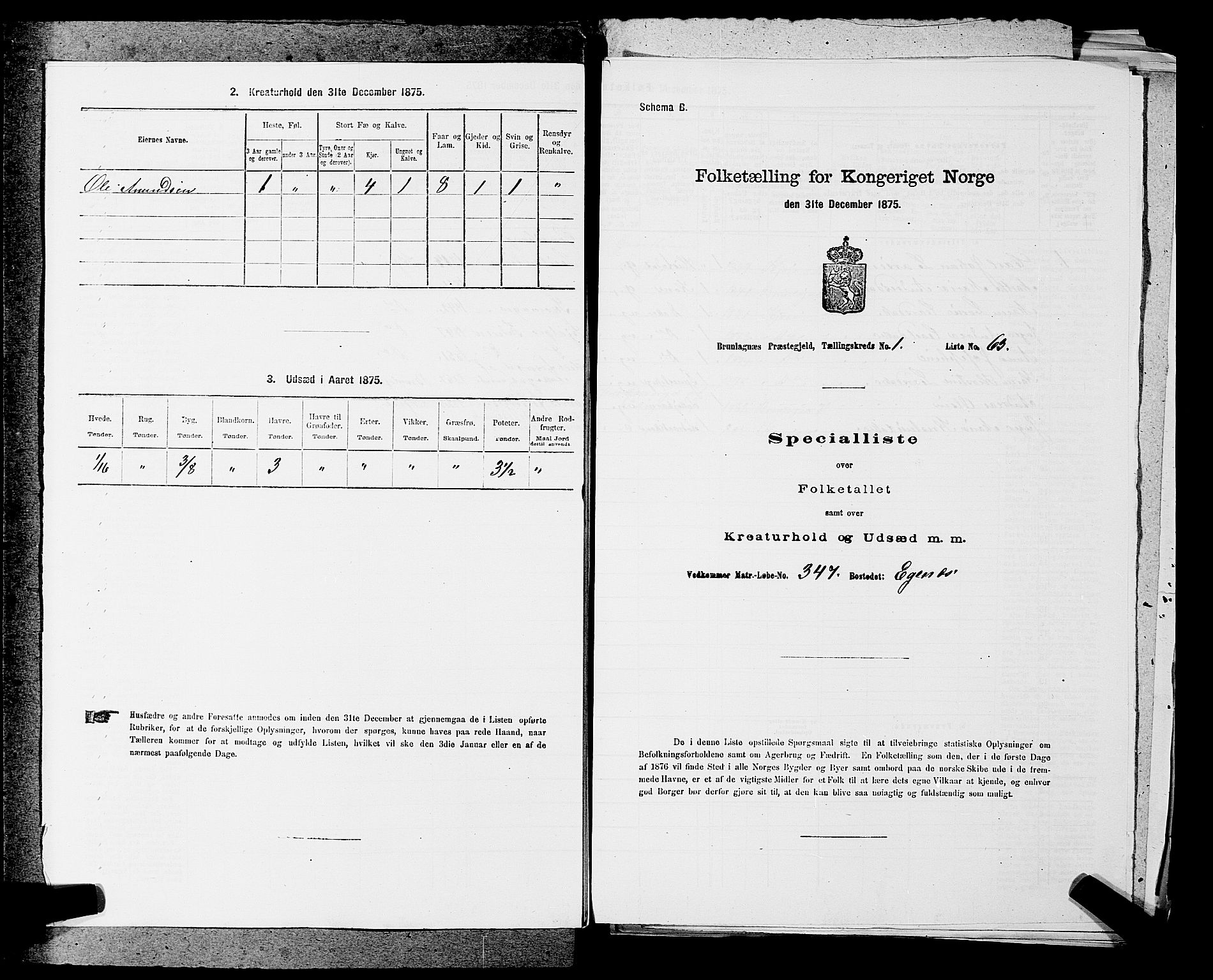 SAKO, 1875 census for 0726P Brunlanes, 1875, p. 192