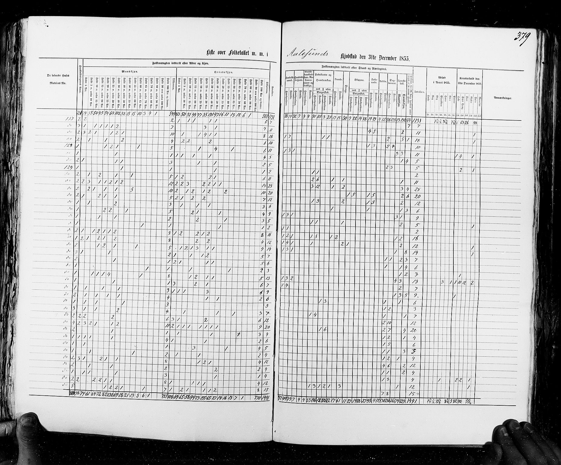 RA, Census 1855, vol. 8: Risør-Vadsø, 1855, p. 379