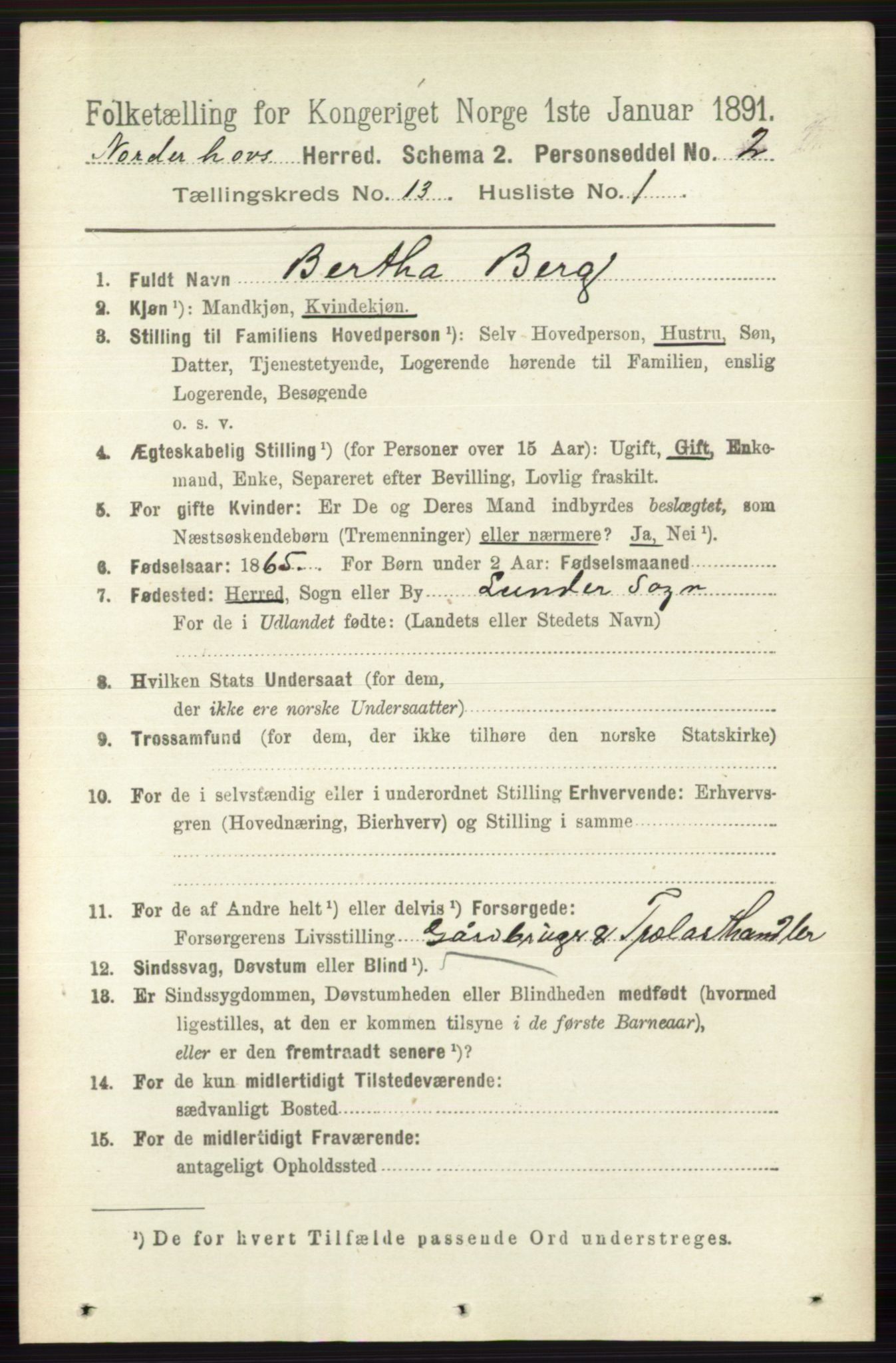 RA, 1891 census for 0613 Norderhov, 1891, p. 8881