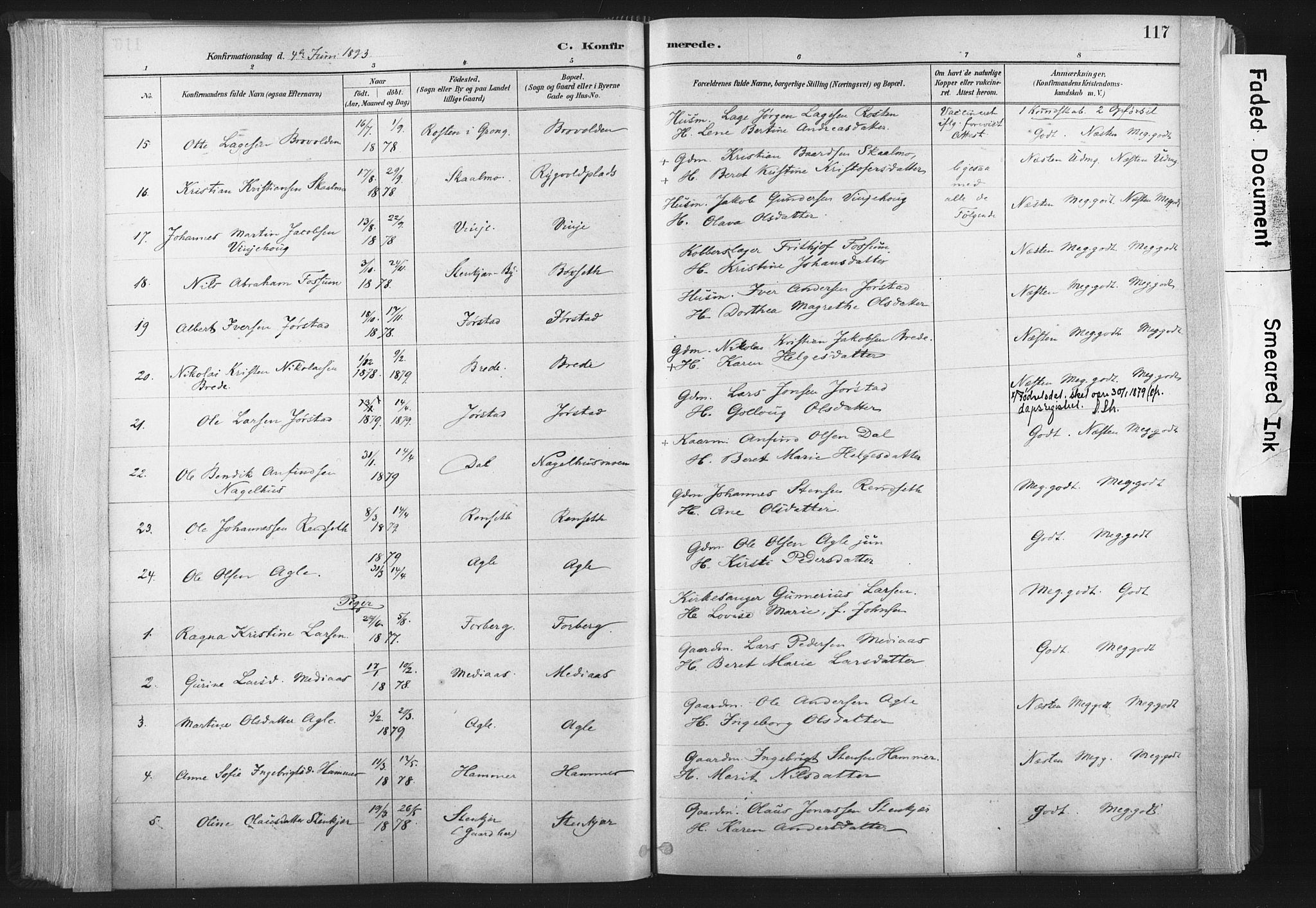 Ministerialprotokoller, klokkerbøker og fødselsregistre - Nord-Trøndelag, AV/SAT-A-1458/749/L0474: Parish register (official) no. 749A08, 1887-1903, p. 117