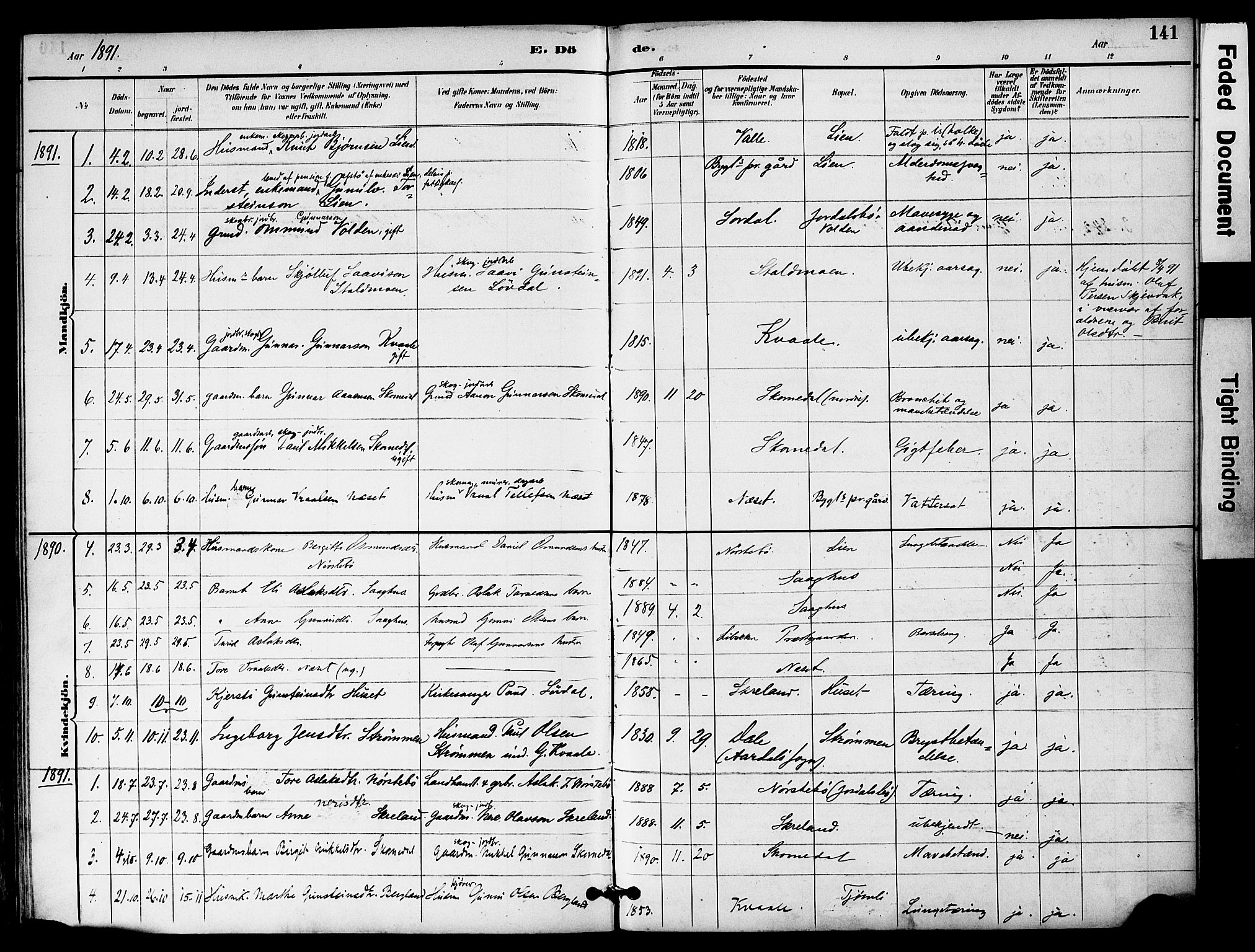 Bygland sokneprestkontor, AV/SAK-1111-0006/F/Fa/Fab/L0007: Parish register (official) no. A 7, 1885-1909, p. 141