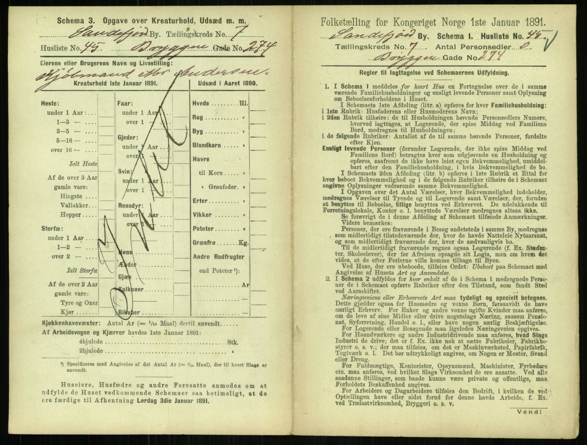 RA, 1891 census for 0706 Sandefjord, 1891, p. 829